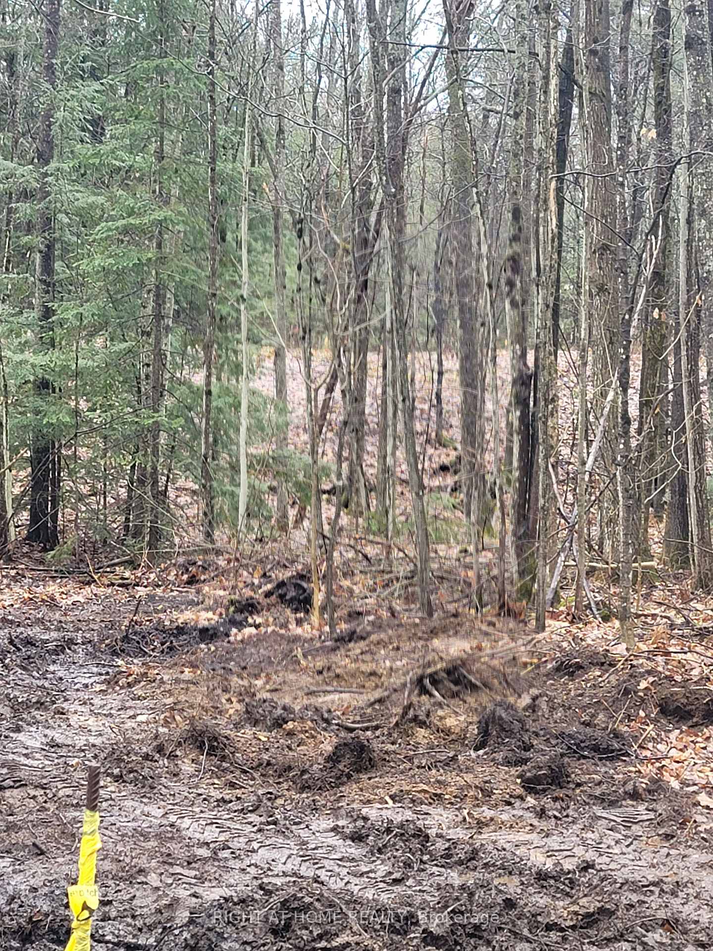 Photo 12 of LT 17 Laidlaw Avenue, Gravenhurst, Muskoka (S) — HOMEH