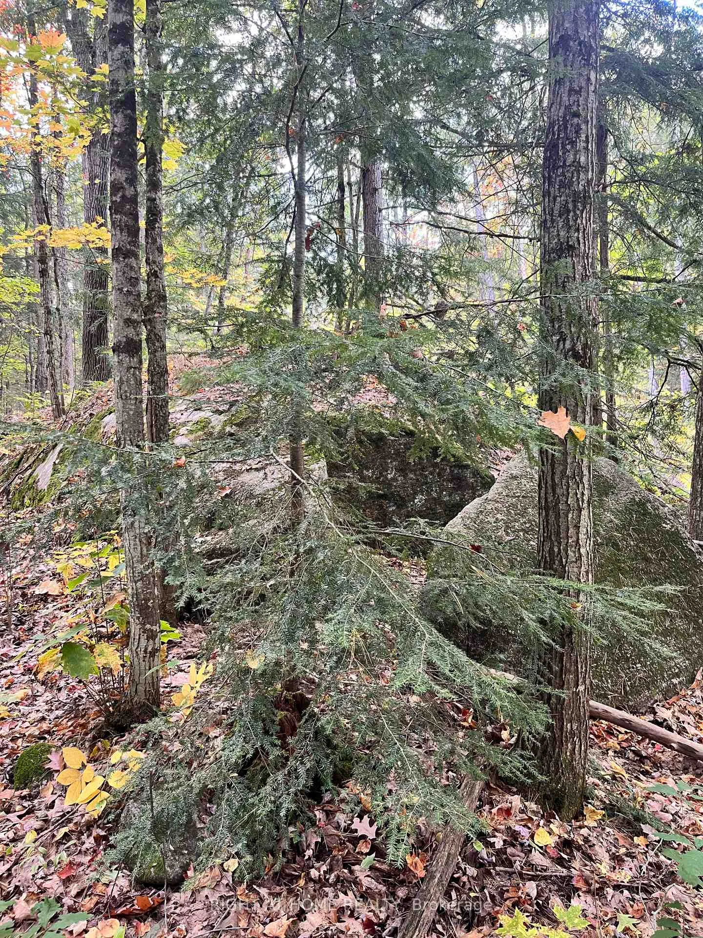 Photo 18 of LT 17 Laidlaw Avenue, Gravenhurst, Muskoka (S) — HOMEH