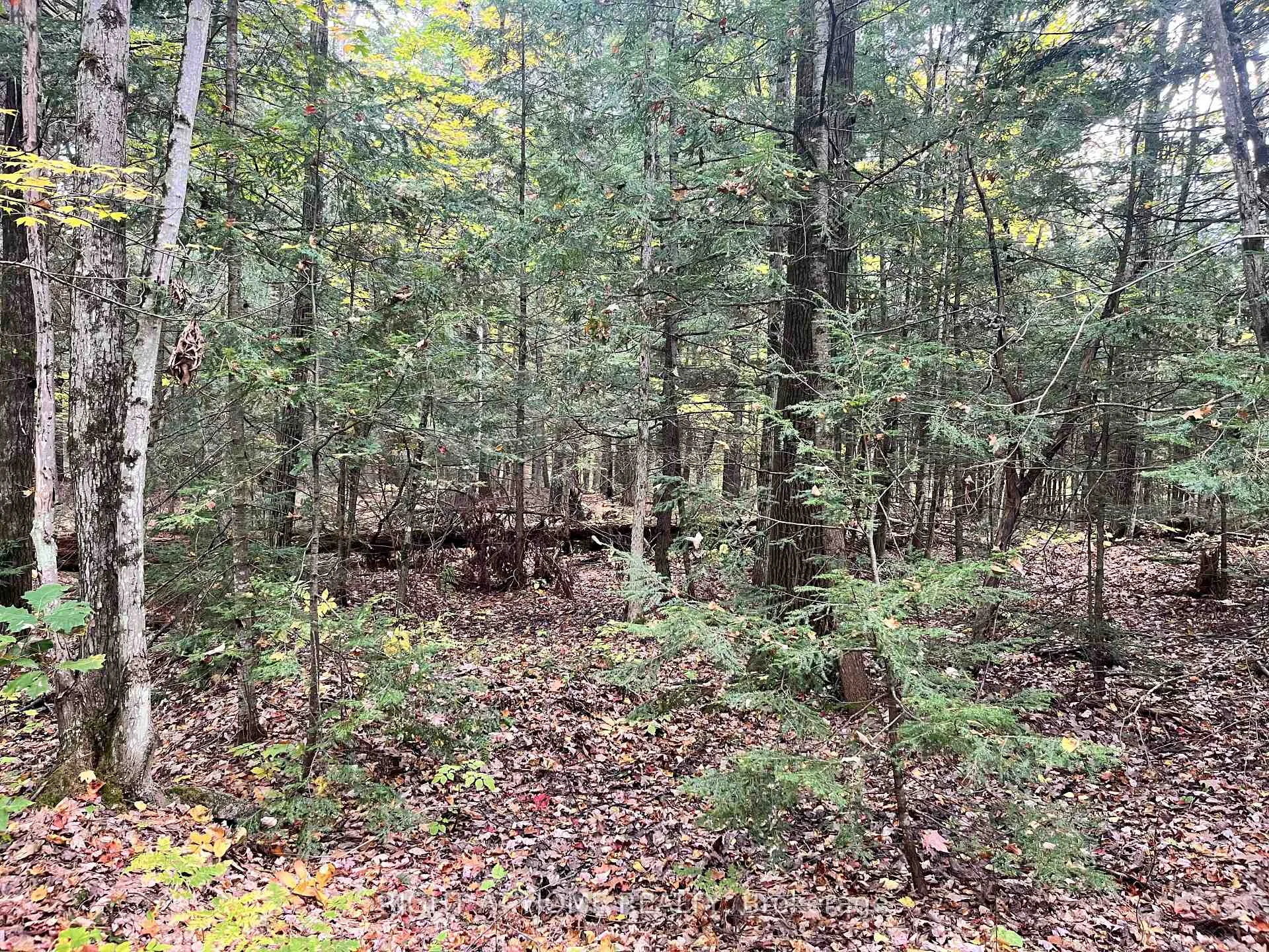Photo 20 of LT 17 Laidlaw Avenue, Gravenhurst, Muskoka (S) — HOMEH