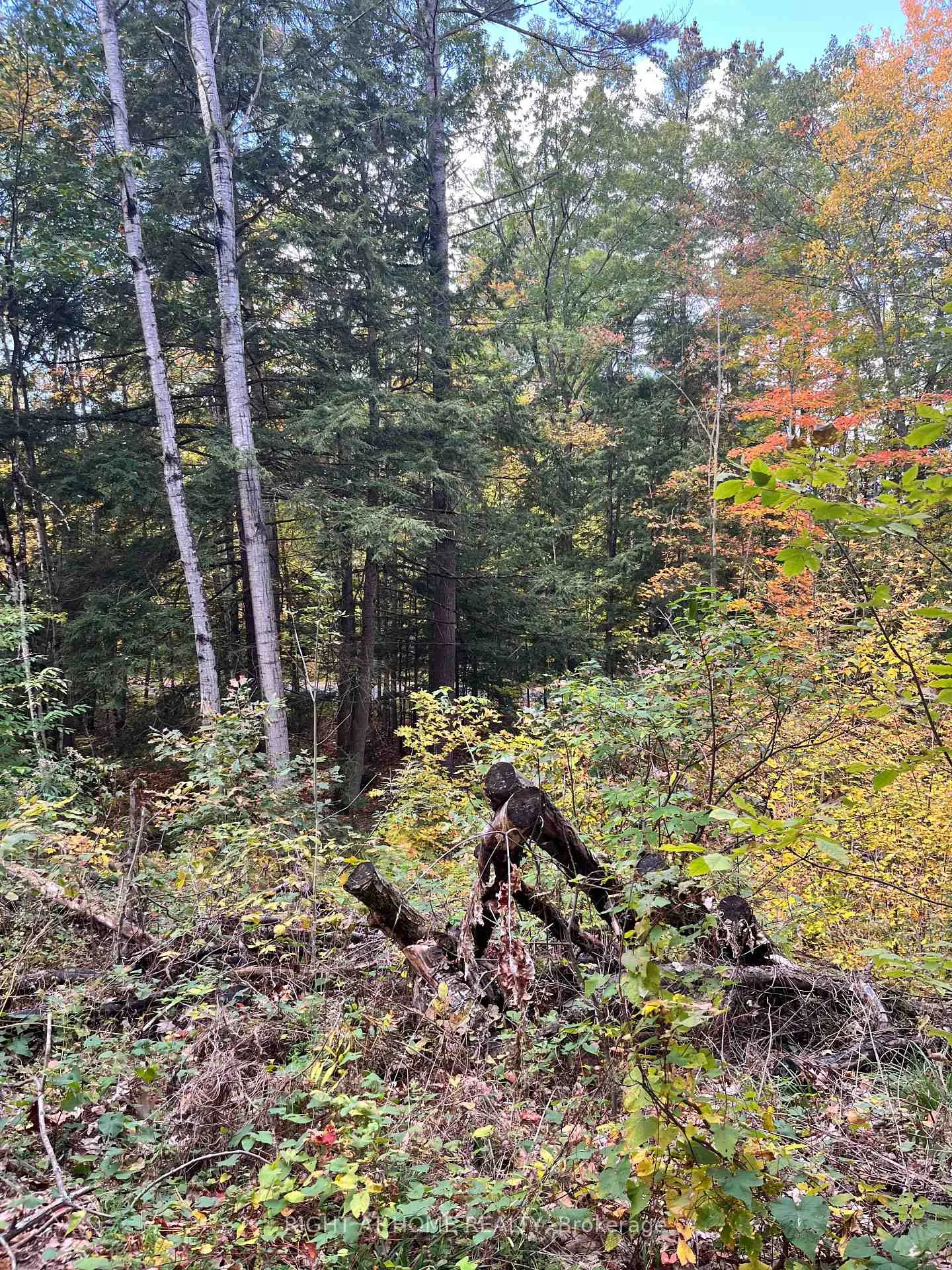 Photo 22 of LT 17 Laidlaw Avenue, Gravenhurst, Muskoka (S) — HOMEH