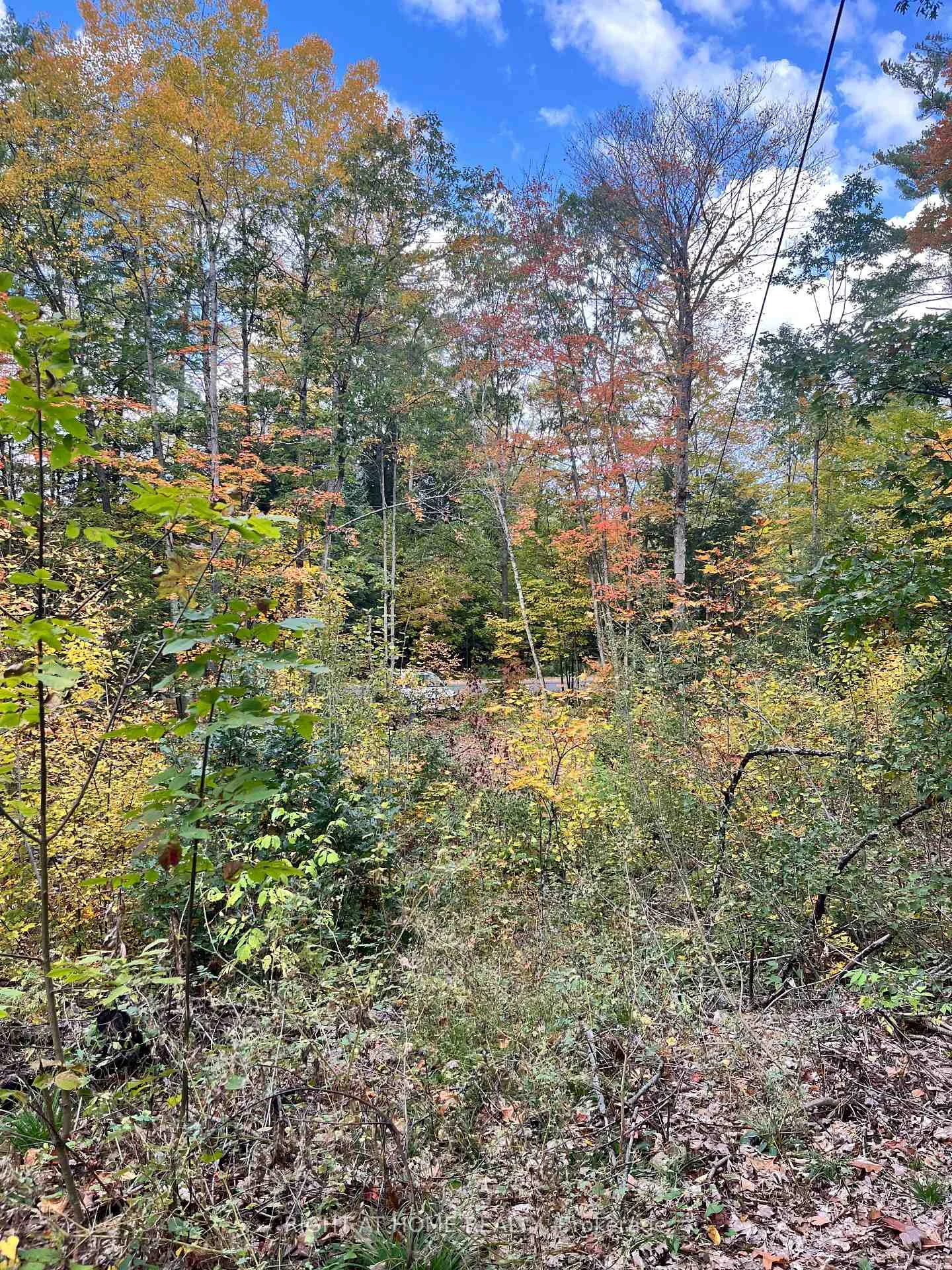 Photo 24 of LT 17 Laidlaw Avenue, Gravenhurst, Muskoka (S) — HOMEH