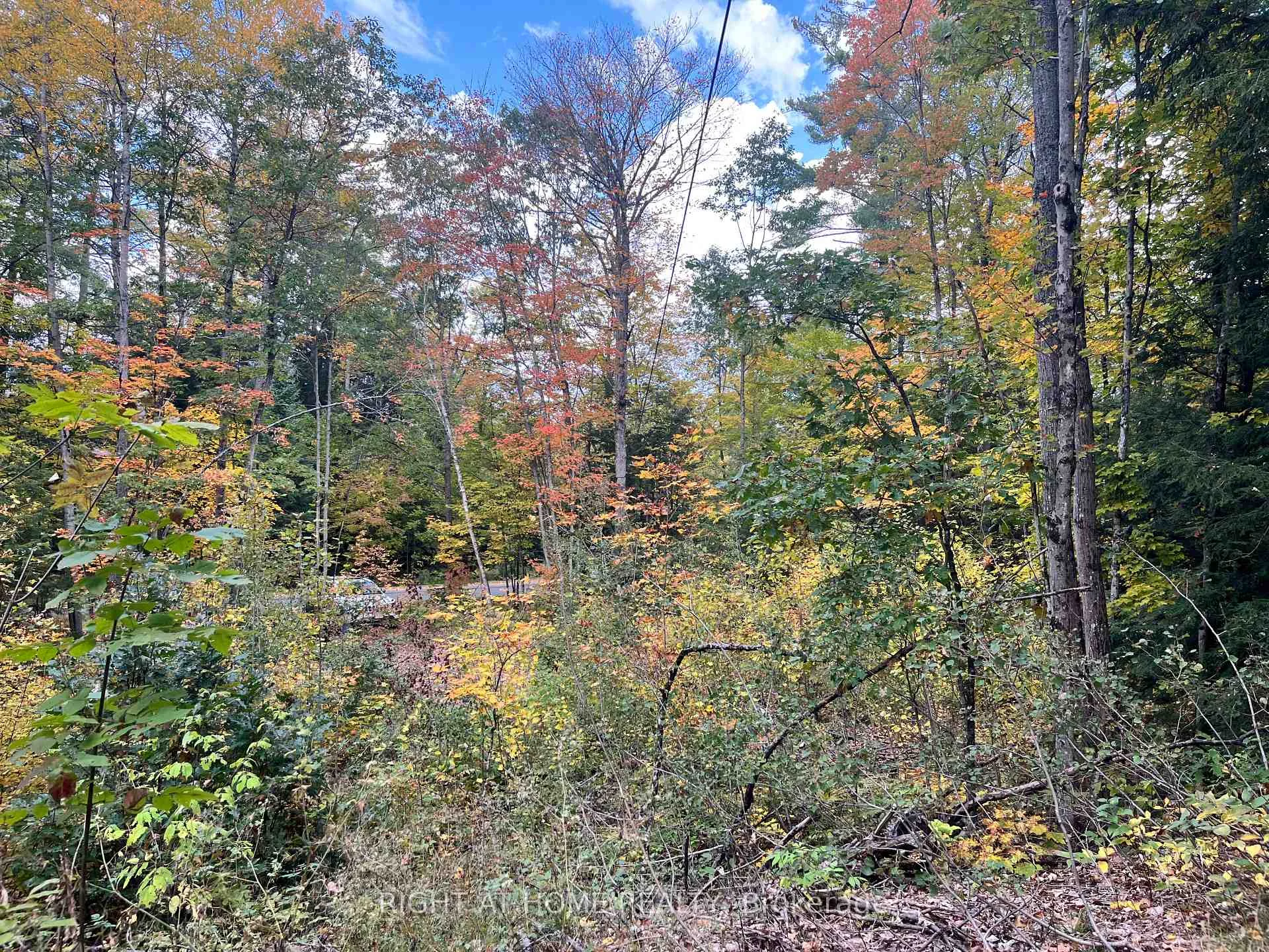 Photo 25 of LT 17 Laidlaw Avenue, Gravenhurst, Muskoka (S) — HOMEH
