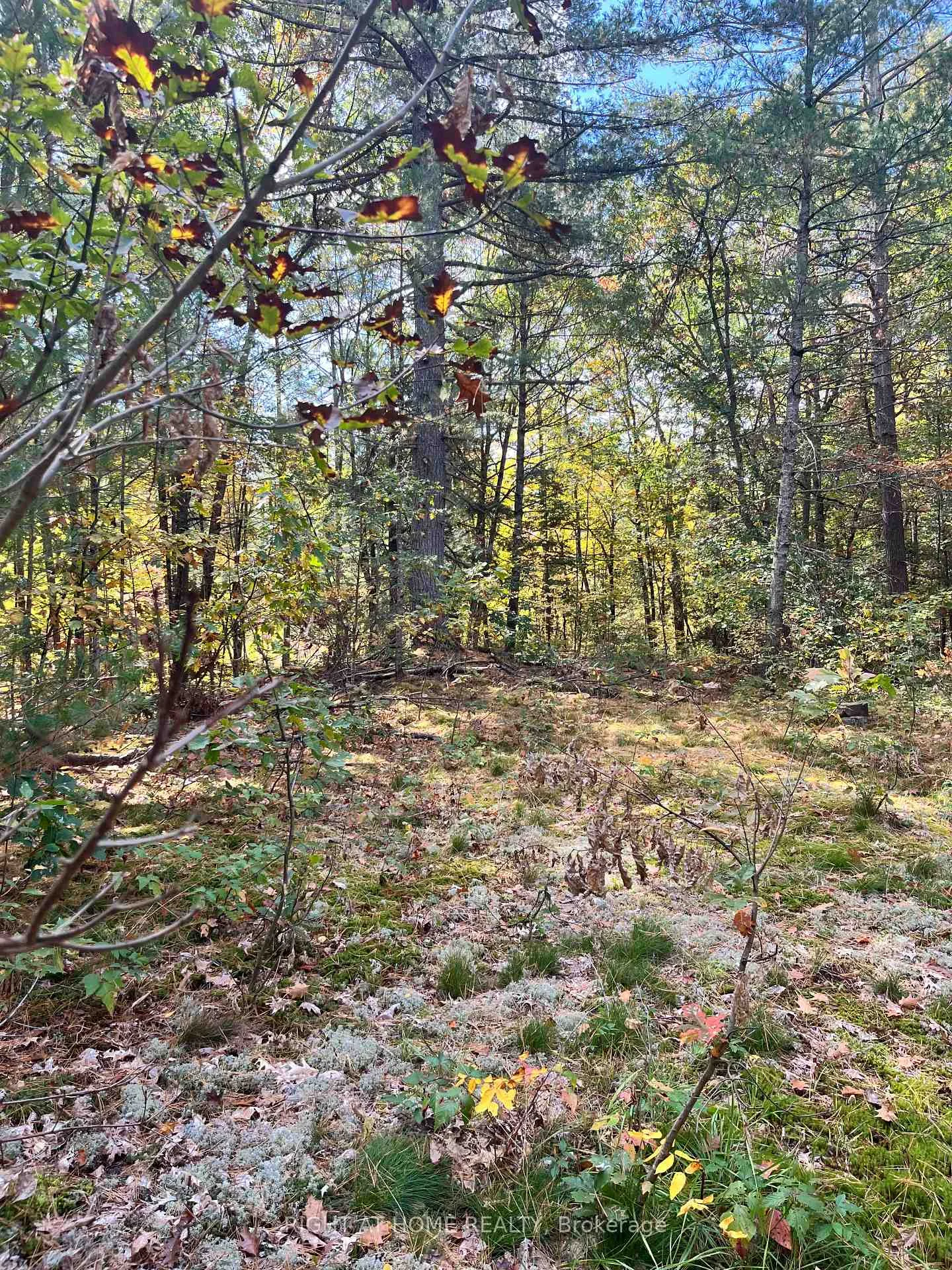 Photo 26 of LT 17 Laidlaw Avenue, Gravenhurst, Muskoka (S) — HOMEH