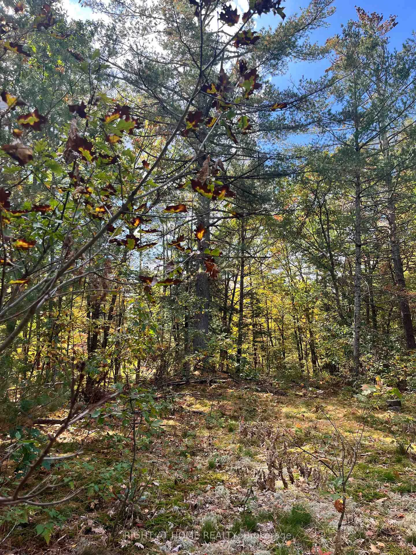 Photo 27 of LT 17 Laidlaw Avenue, Gravenhurst, Muskoka (S) — HOMEH