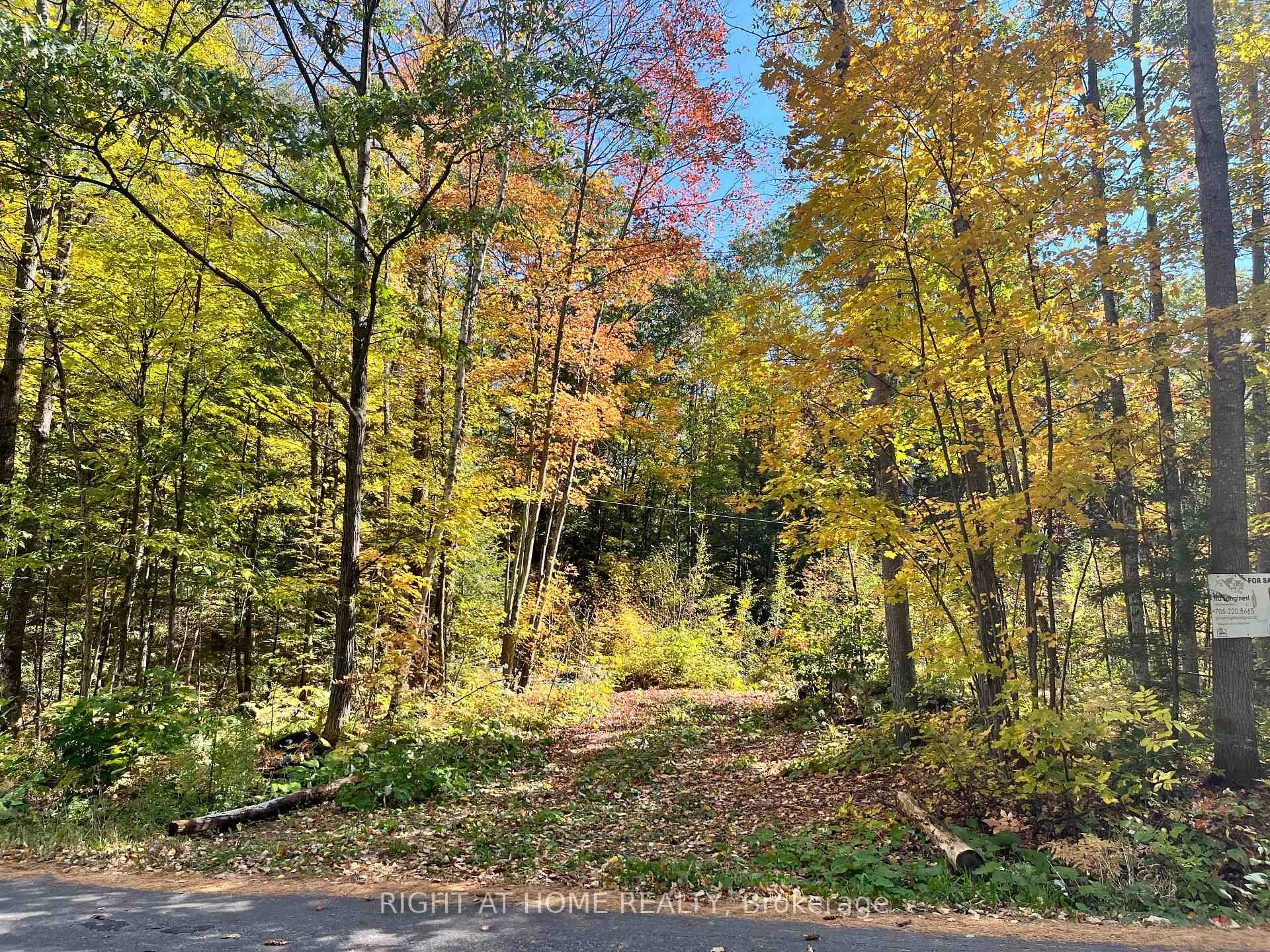 Photo 28 of LT 17 Laidlaw Avenue, Gravenhurst, Muskoka (S) — HOMEH