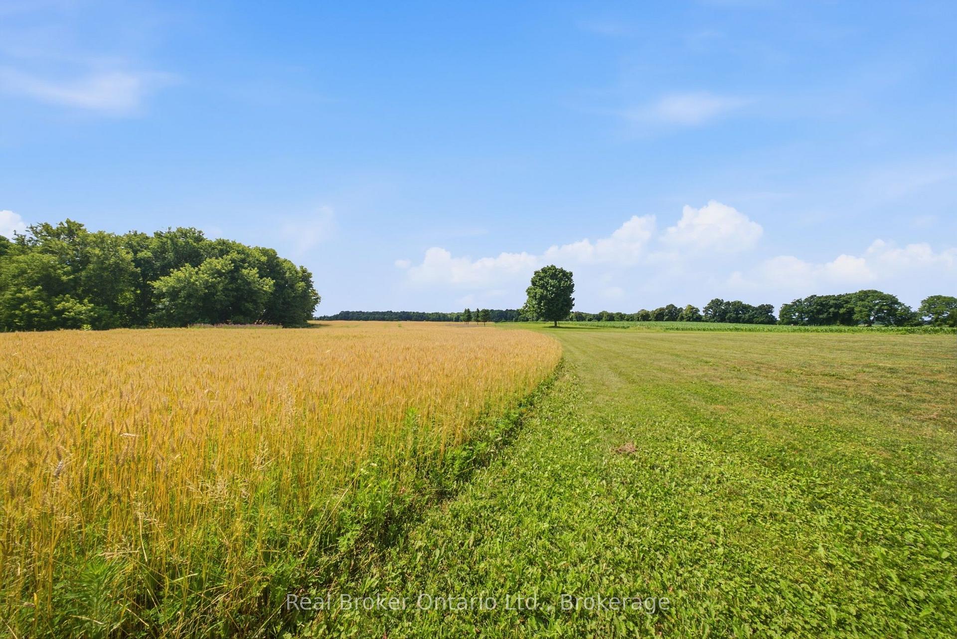 Photo 43 of 392 German School Road, Brant, South Dumfries — HOMEH
