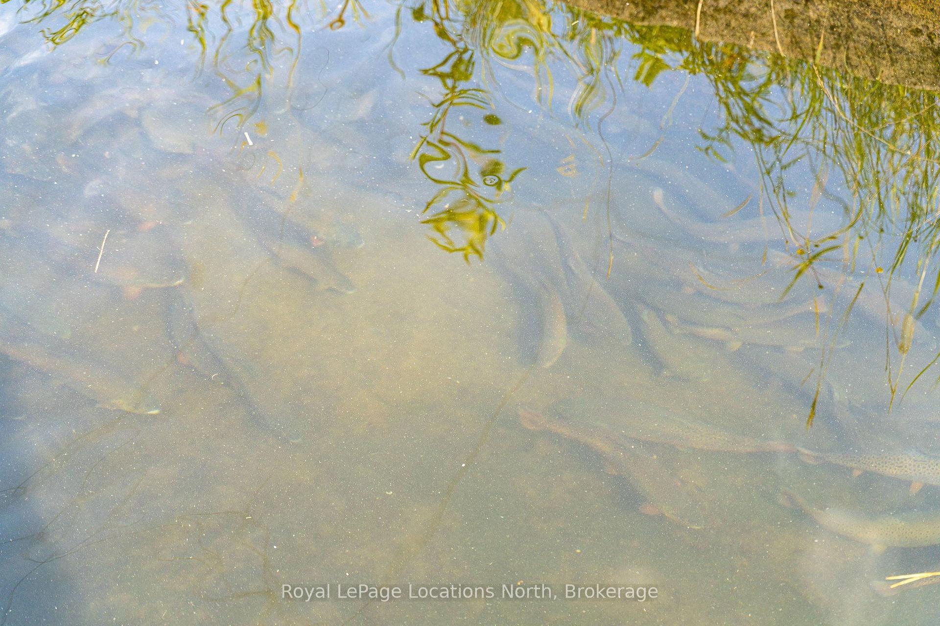 Photo 18 of 548037 3rd Side Road, Blue Mountains — HOMEH
