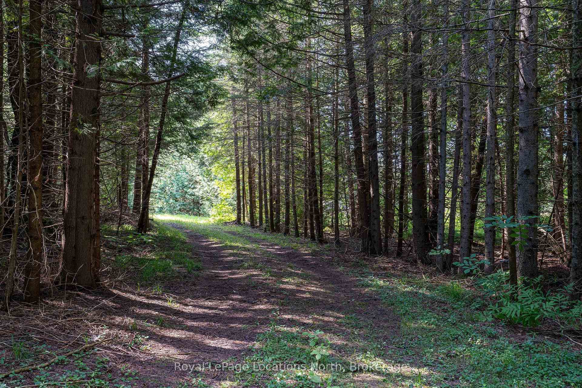 Photo 29 of 548037 3rd Side Road, Blue Mountains — HOMEH