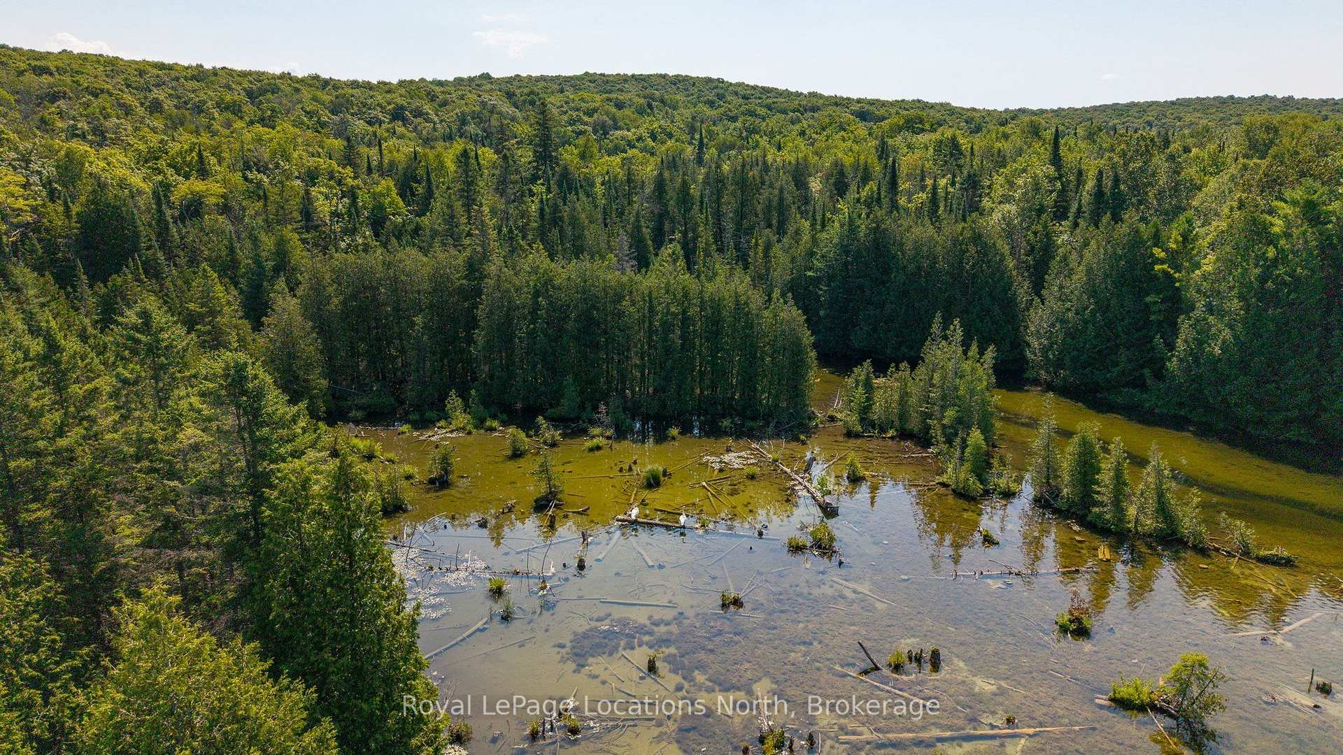 Photo 44 of 548037 3rd Side Road, Blue Mountains — HOMEH