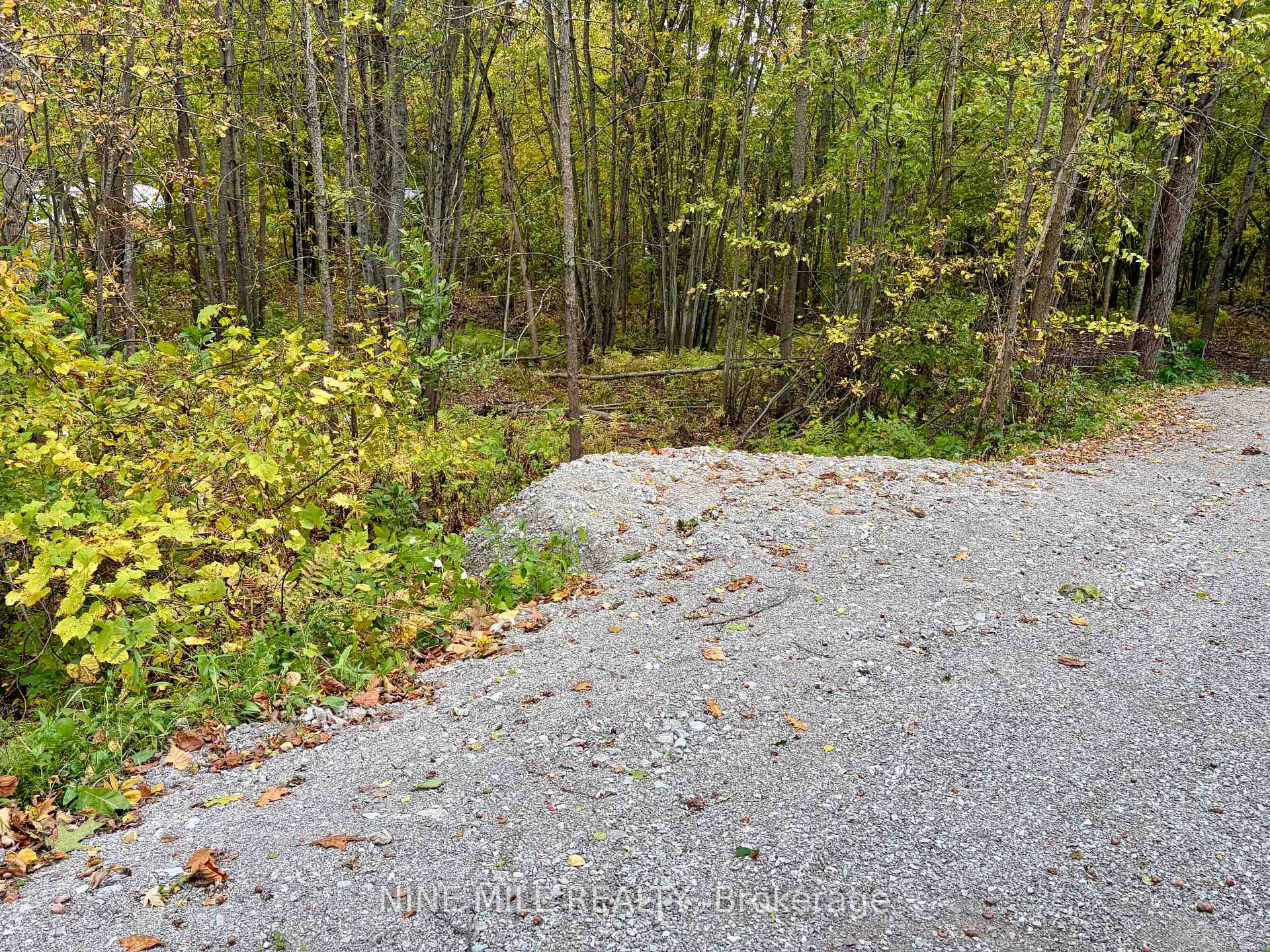 Photo 2 of 3159 Switch Road, Ramara, Rural Ramara — HOMEH