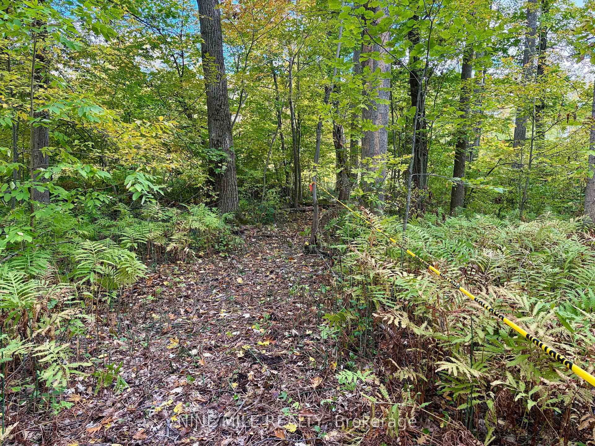 Photo of 3159 Switch Road