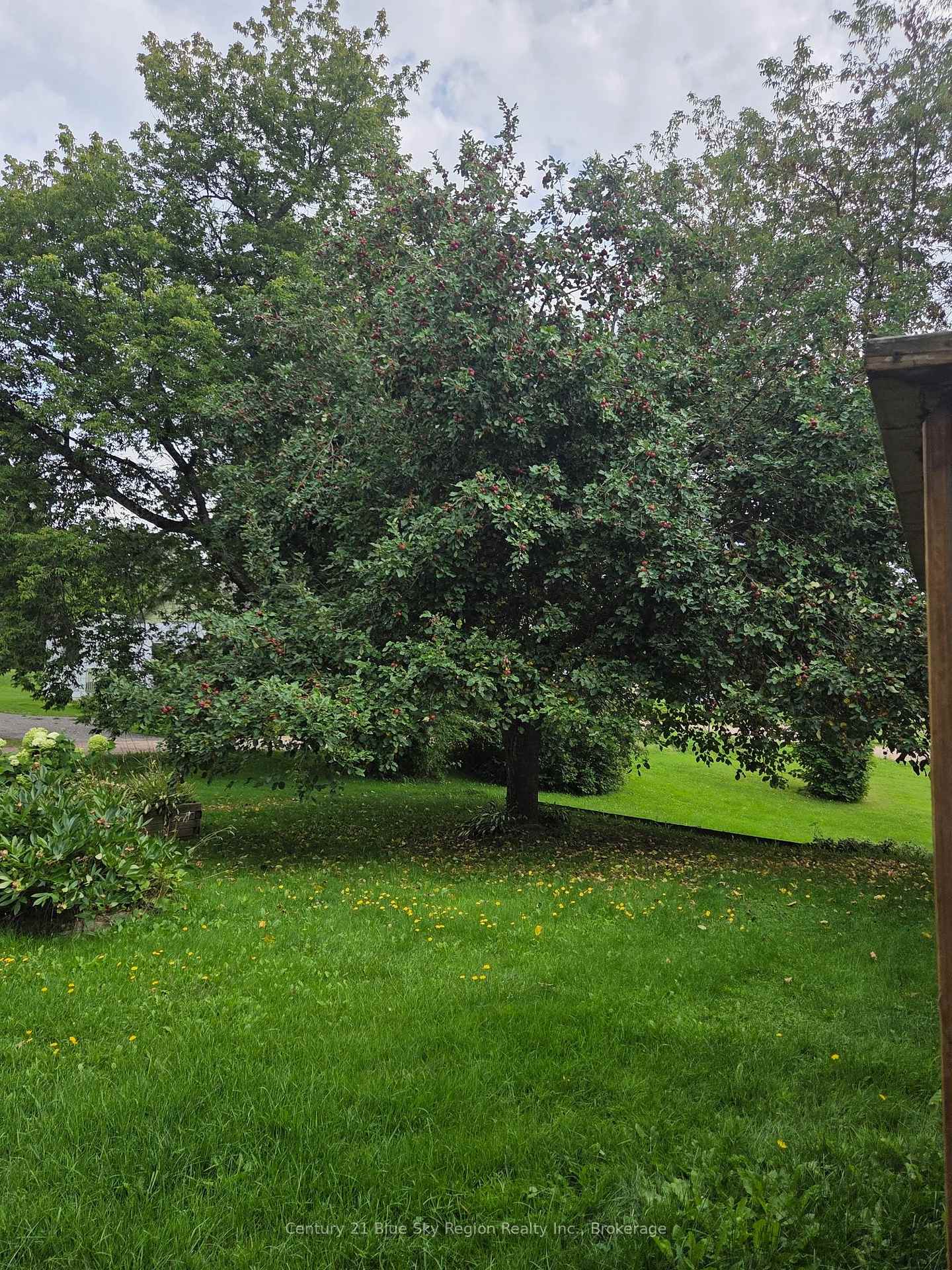 Photo 6 of 203 Labrecque Street, Bonfield — HOMEH