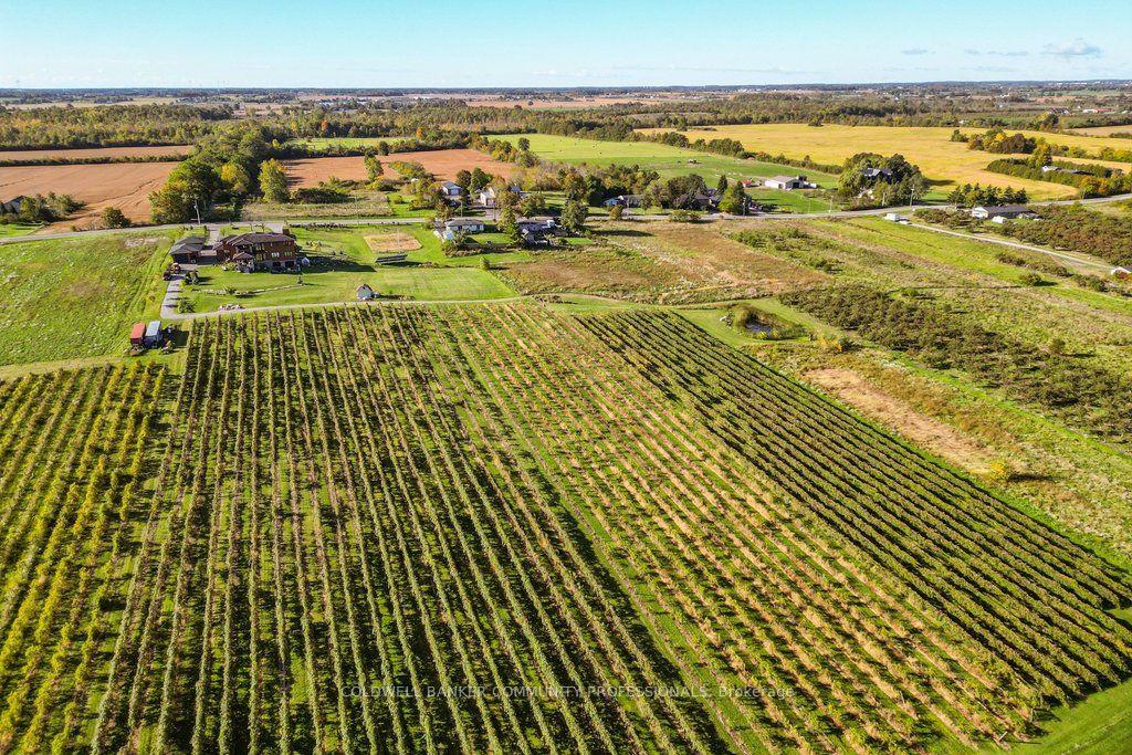 Photo 46 of 919 Ridge Road, Hamilton, Rural Stoney Creek — HOMEH