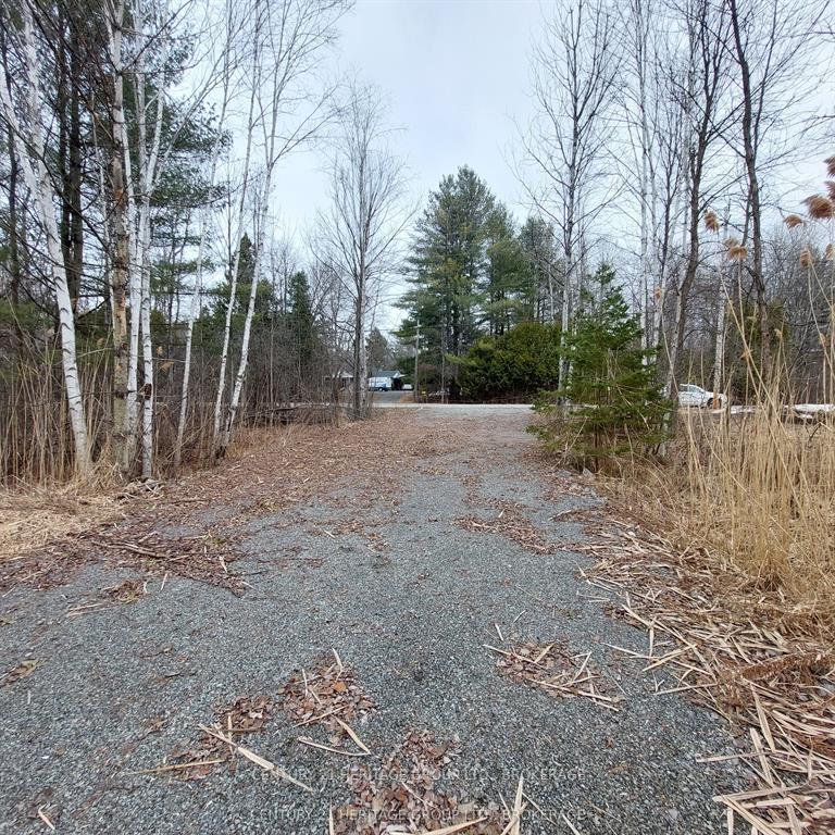 Photo of 106 Perth Street
