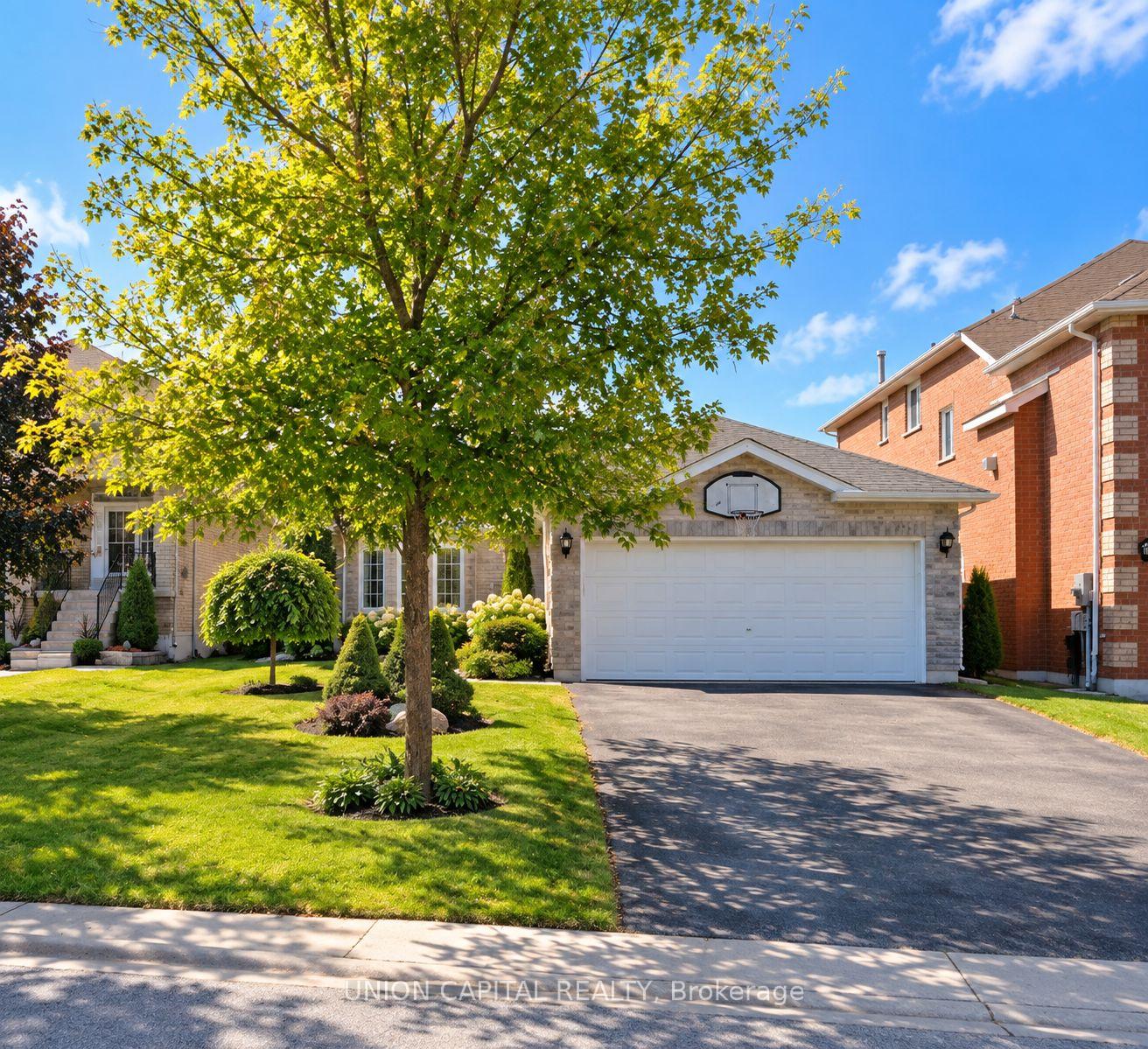 Photo of 38 Black Willow Drive