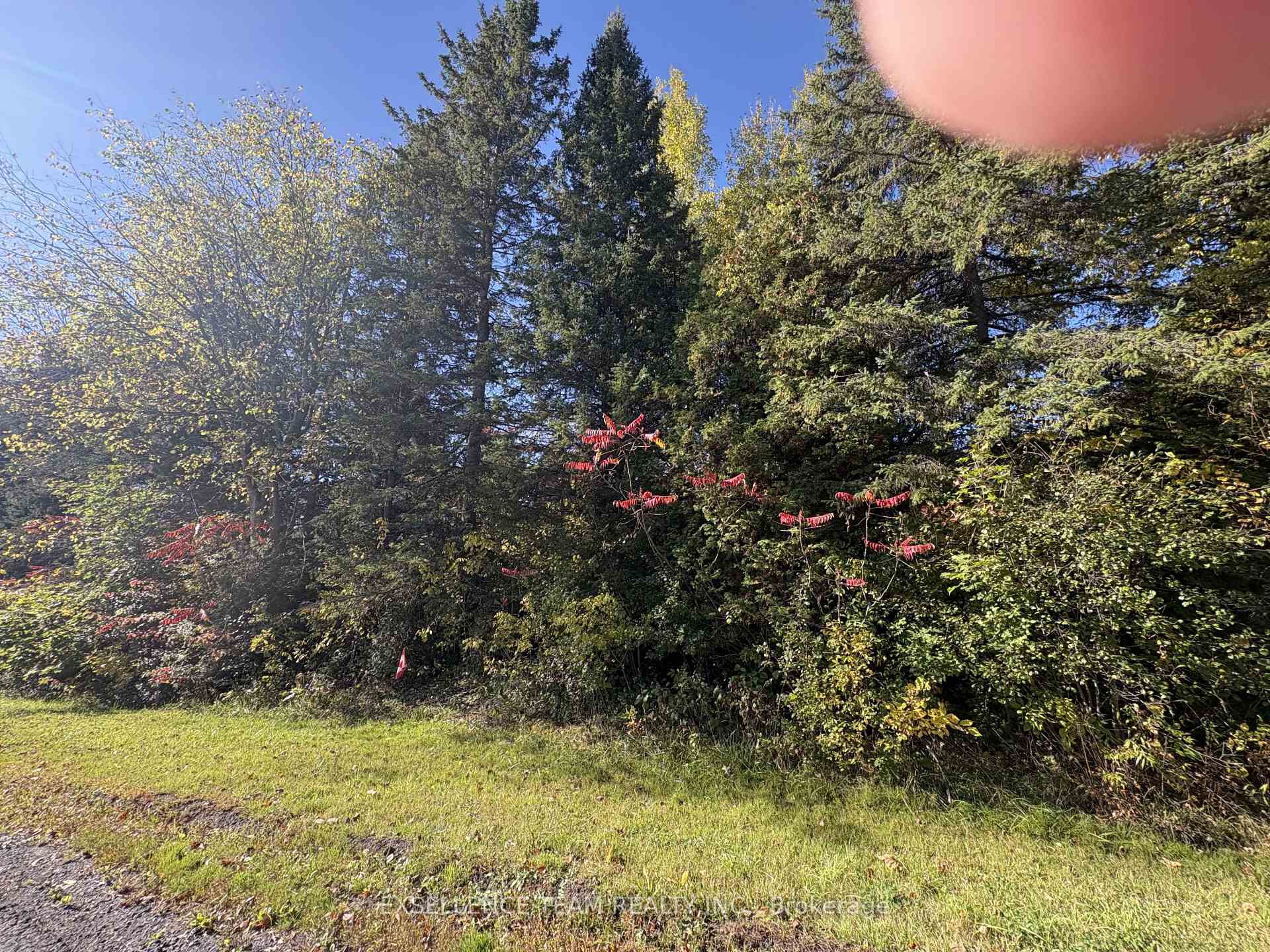 Photo 2 of Glen Roy Rd, South Glengarry, South Glengarry (Charlottenburgh) Twp — HOMEH
