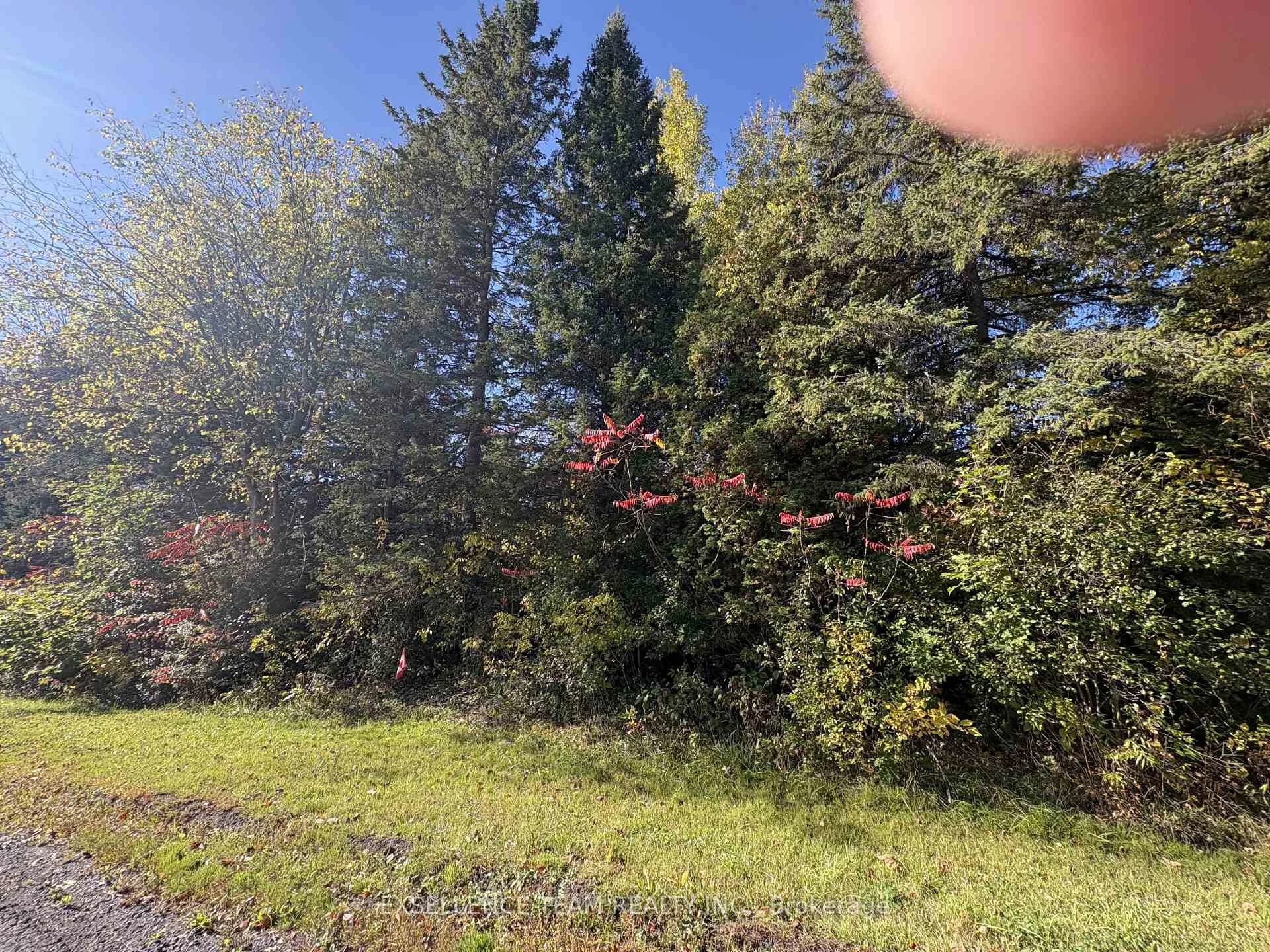 Photo 4 of Glen Roy Rd, South Glengarry, South Glengarry (Charlottenburgh) Twp — HOMEH