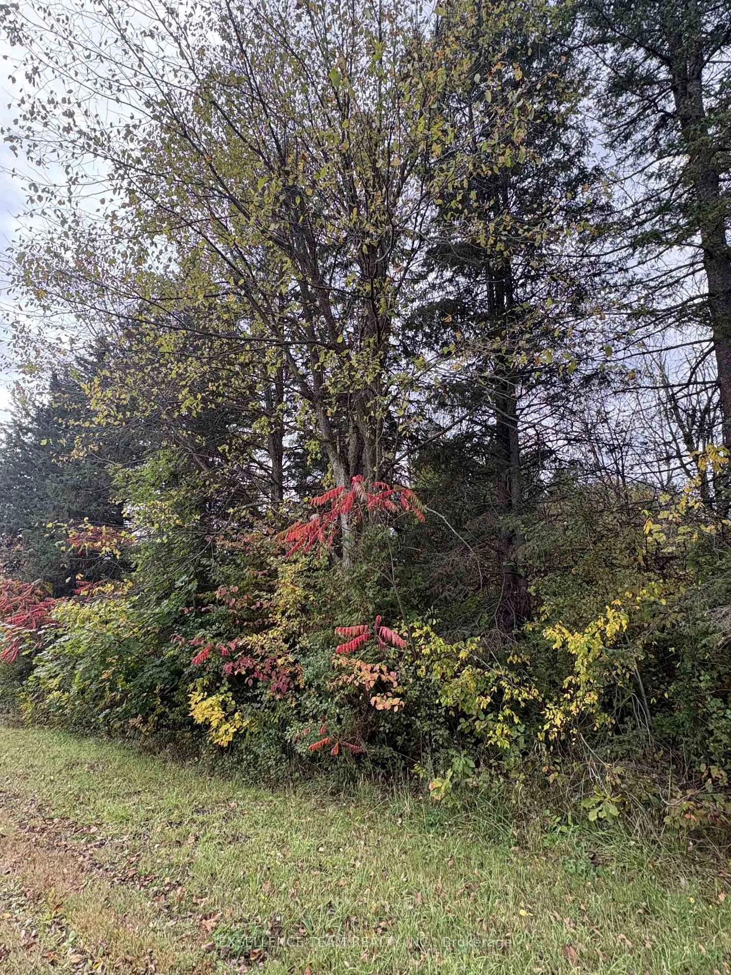 Photo of N/A Glen Roy Rd