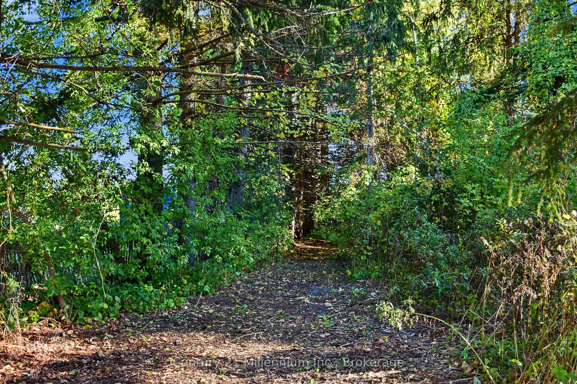 Photo 9 of 290 Warrington Road, Clearview, Stayner — HOMEH