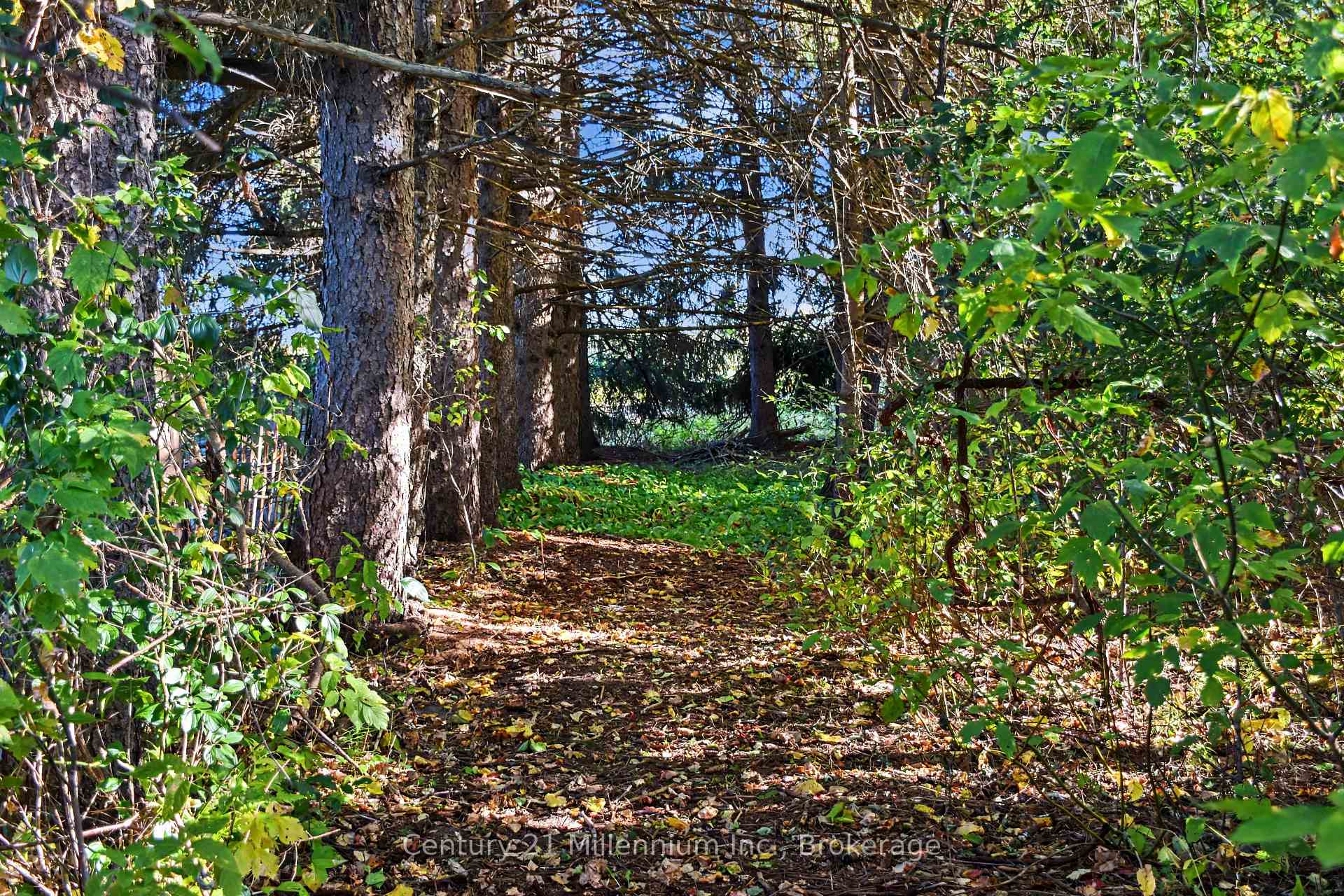 Photo 10 of 290 Warrington Road, Clearview, Stayner — HOMEH