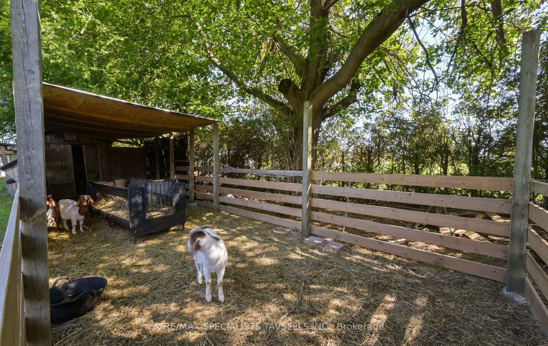 Photo 47 of 17991 St. Andrew's Road, Caledon, Rural Caledon — HOMEH
