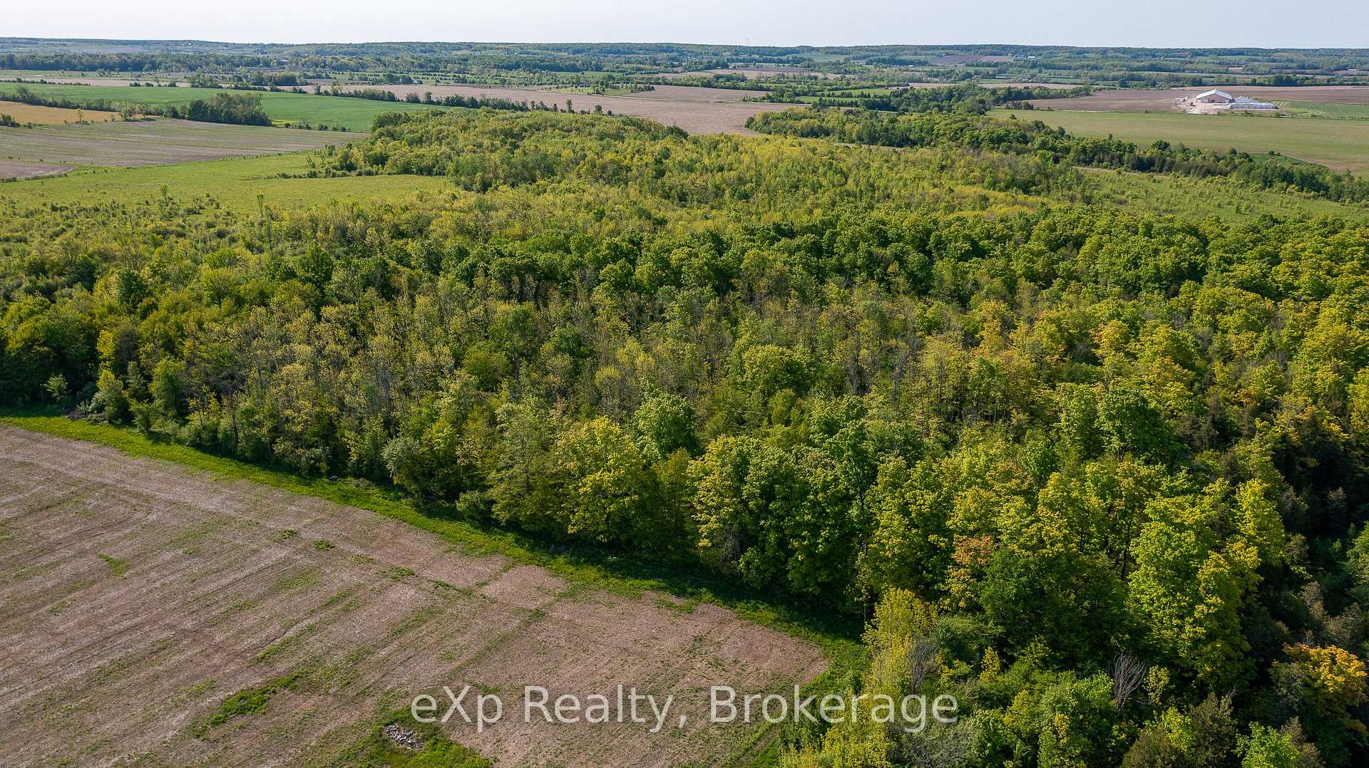 Photo 13 of E 1/2 LT 29-30 CON 4; Sideroad 30, Meaford — HOMEH