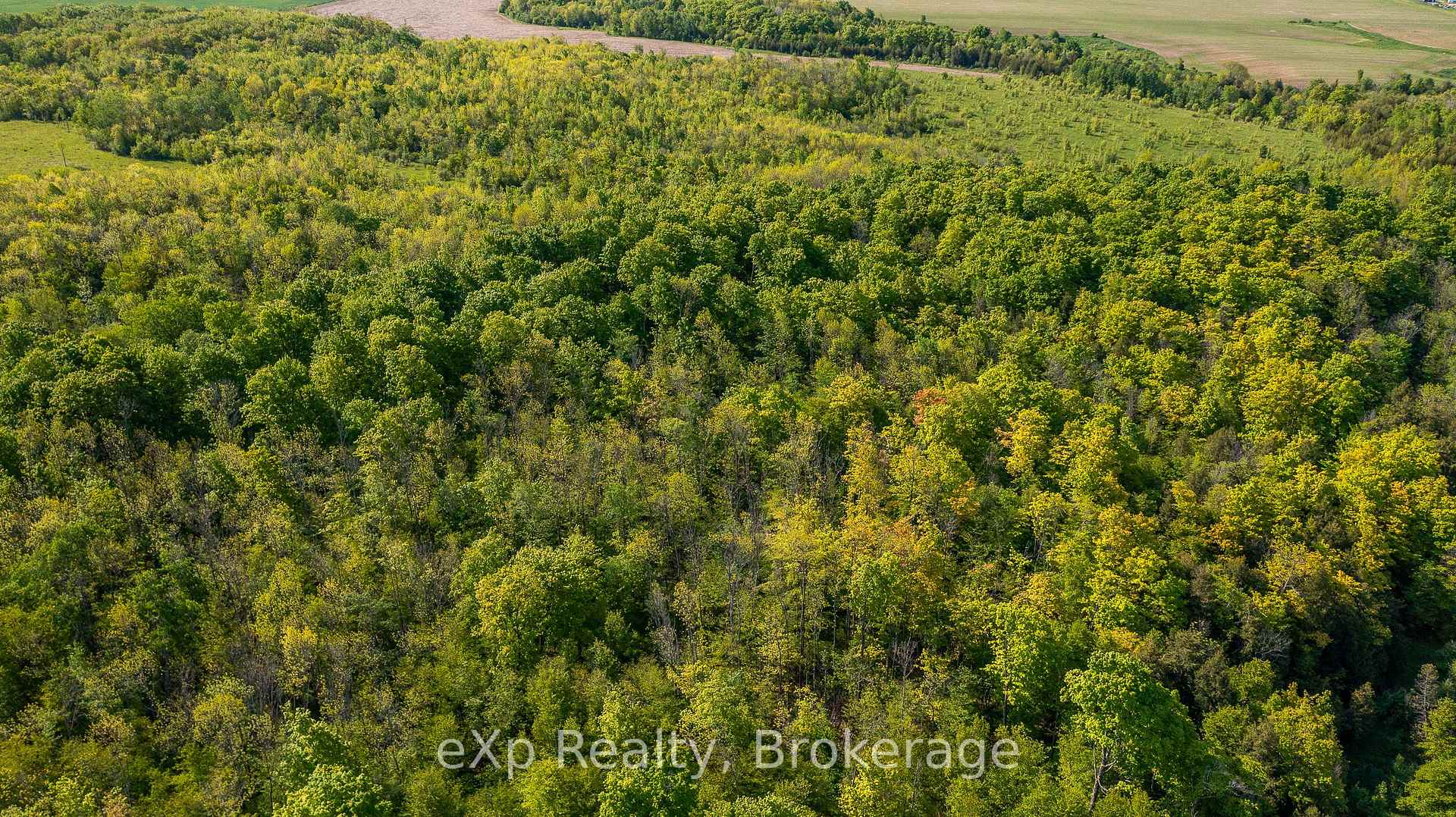 Photo 16 of E 1/2 LT 29-30 CON 4; Sideroad 30, Meaford — HOMEH