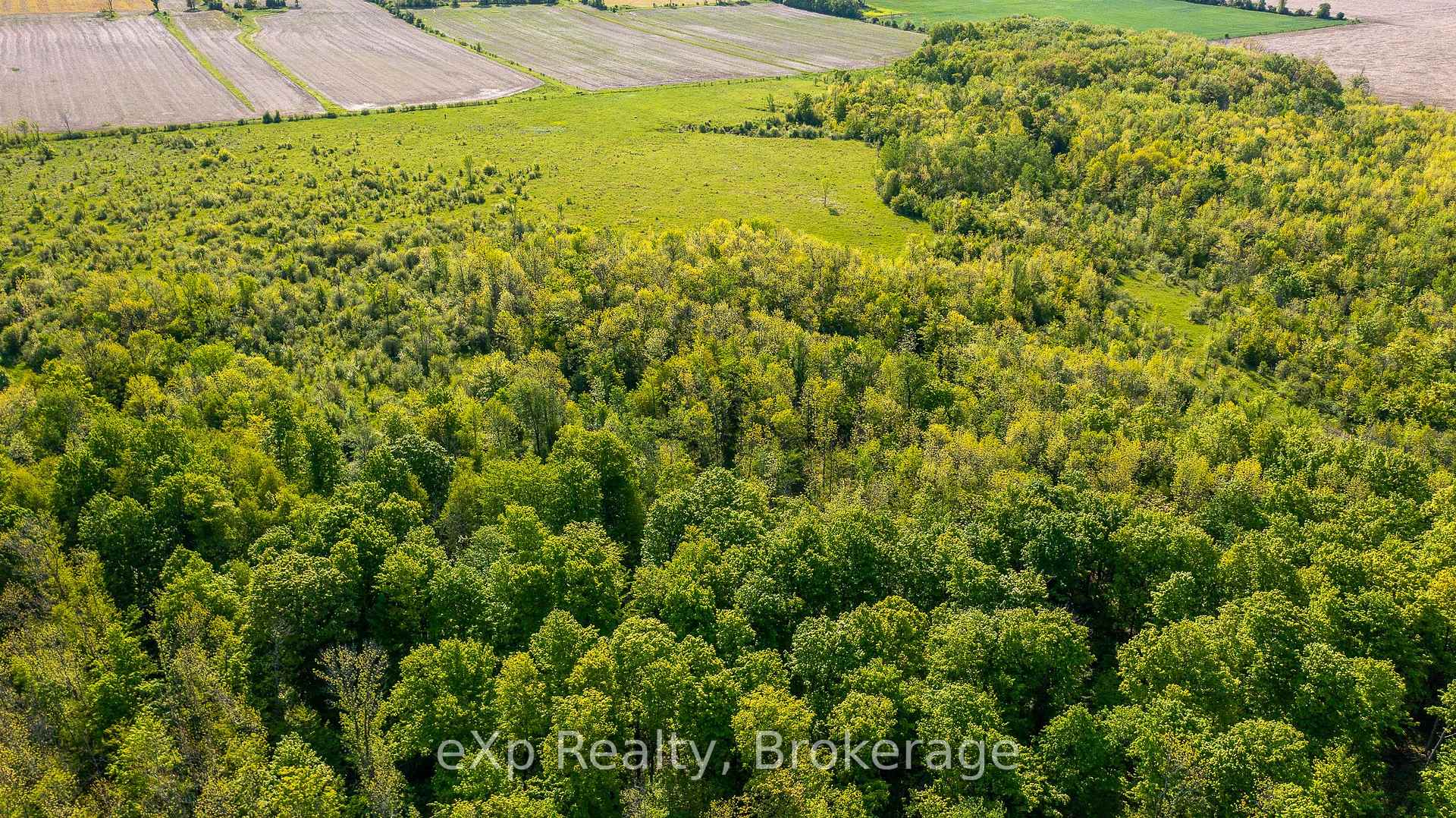 Photo 18 of E 1/2 LT 29-30 CON 4; Sideroad 30, Meaford — HOMEH