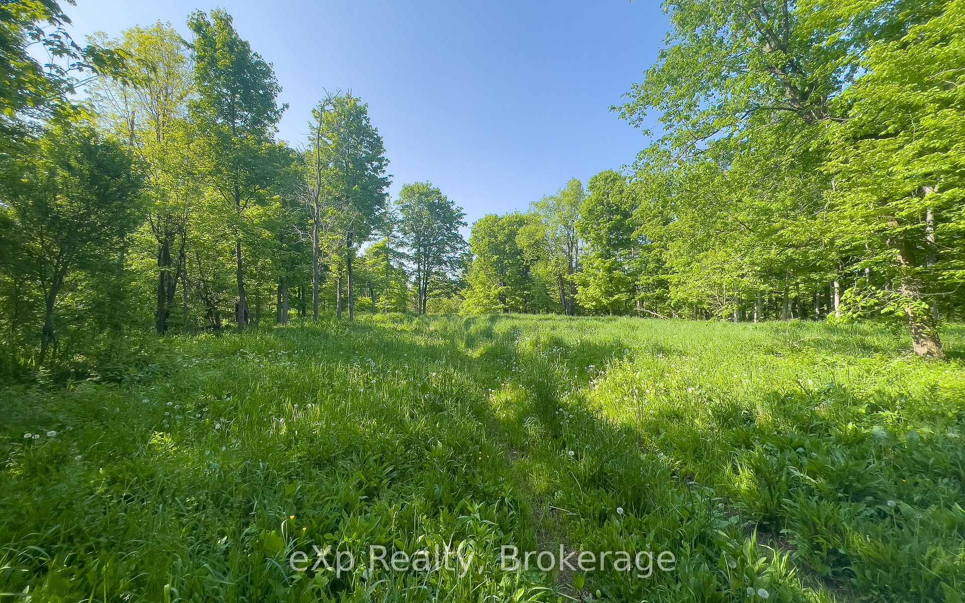 Photo 31 of E 1/2 LT 29-30 CON 4; Sideroad 30, Meaford — HOMEH