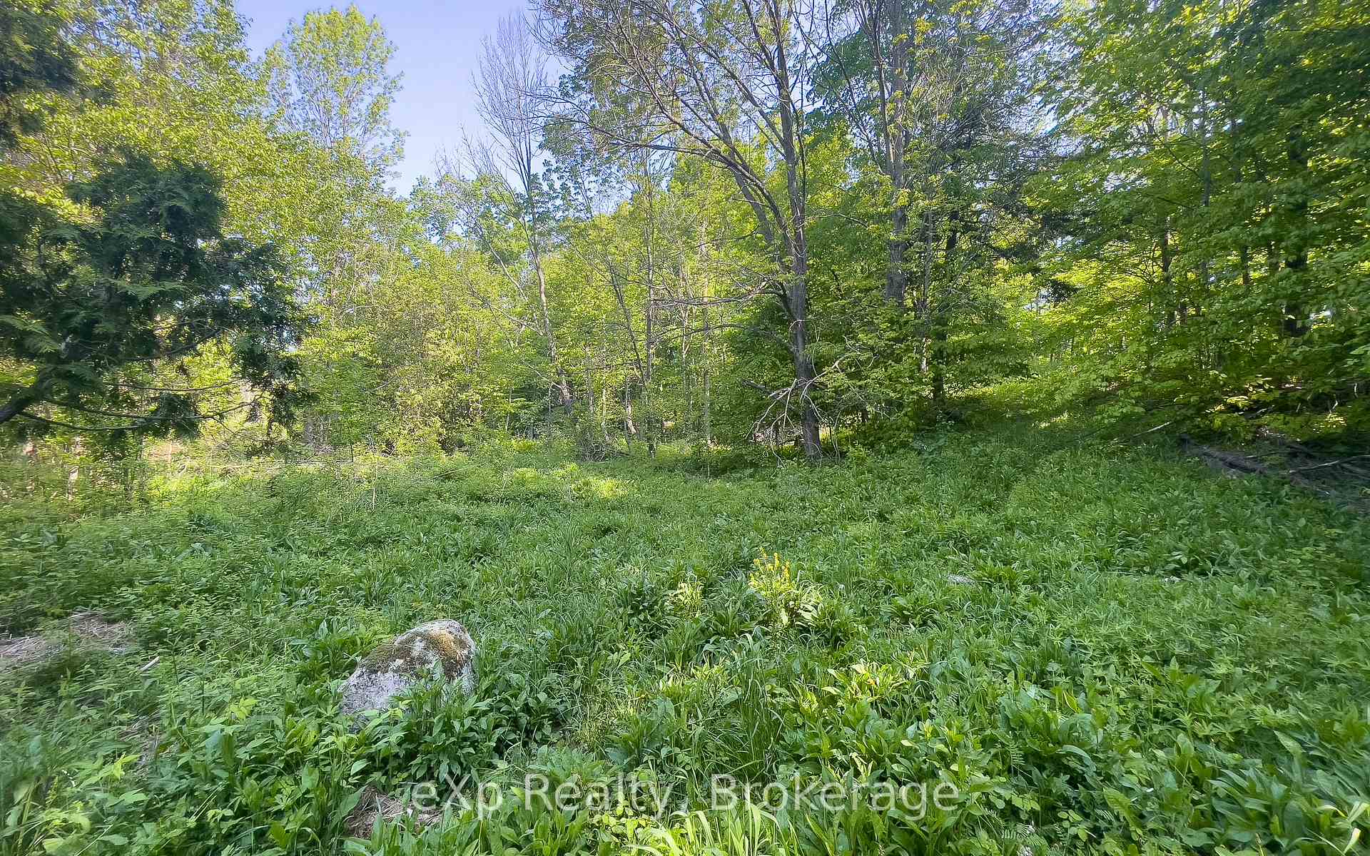 Photo 35 of E 1/2 LT 29-30 CON 4; Sideroad 30, Meaford — HOMEH