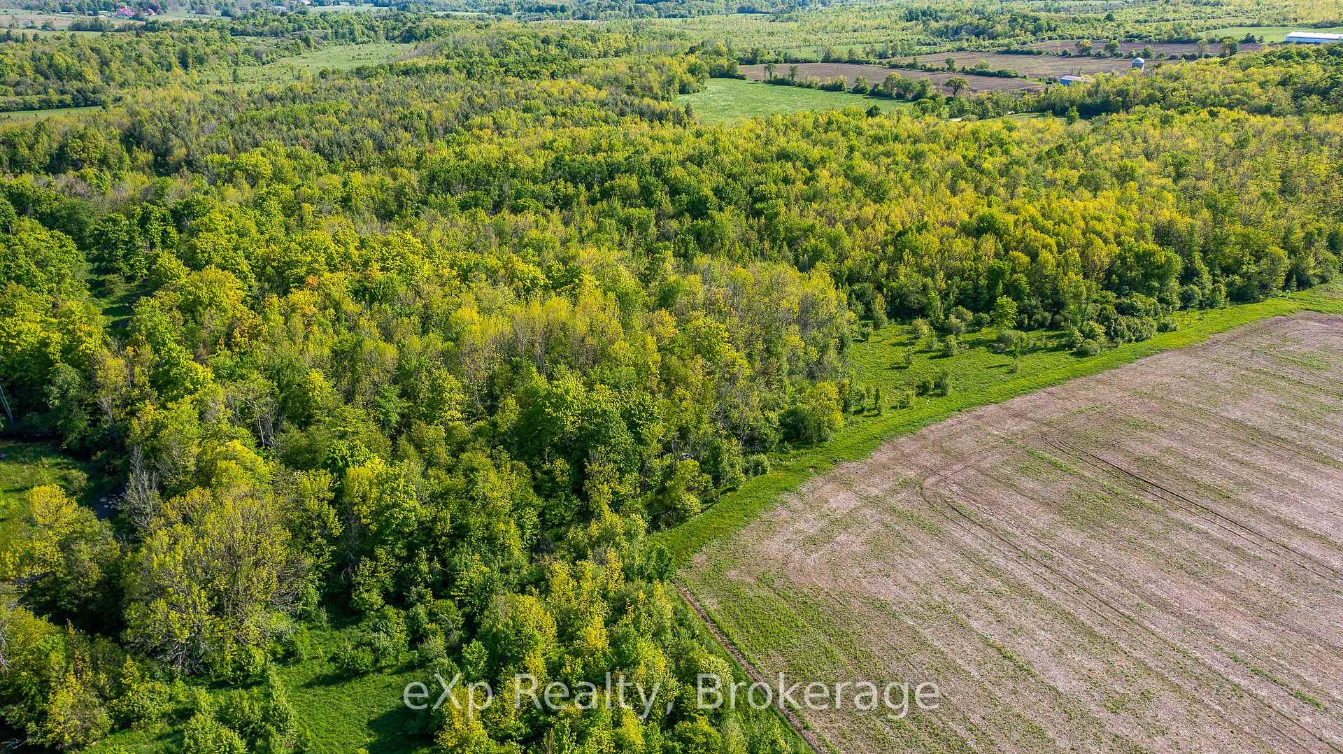 Photo 16 of CON 4 Sideroad 30, Meaford — HOMEH