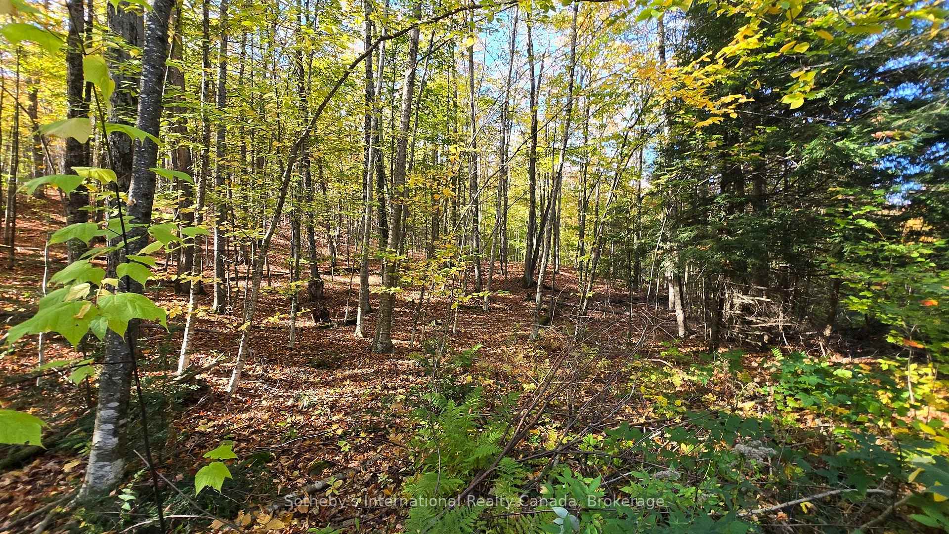Photo of 0 Mink Lot 17 Road
