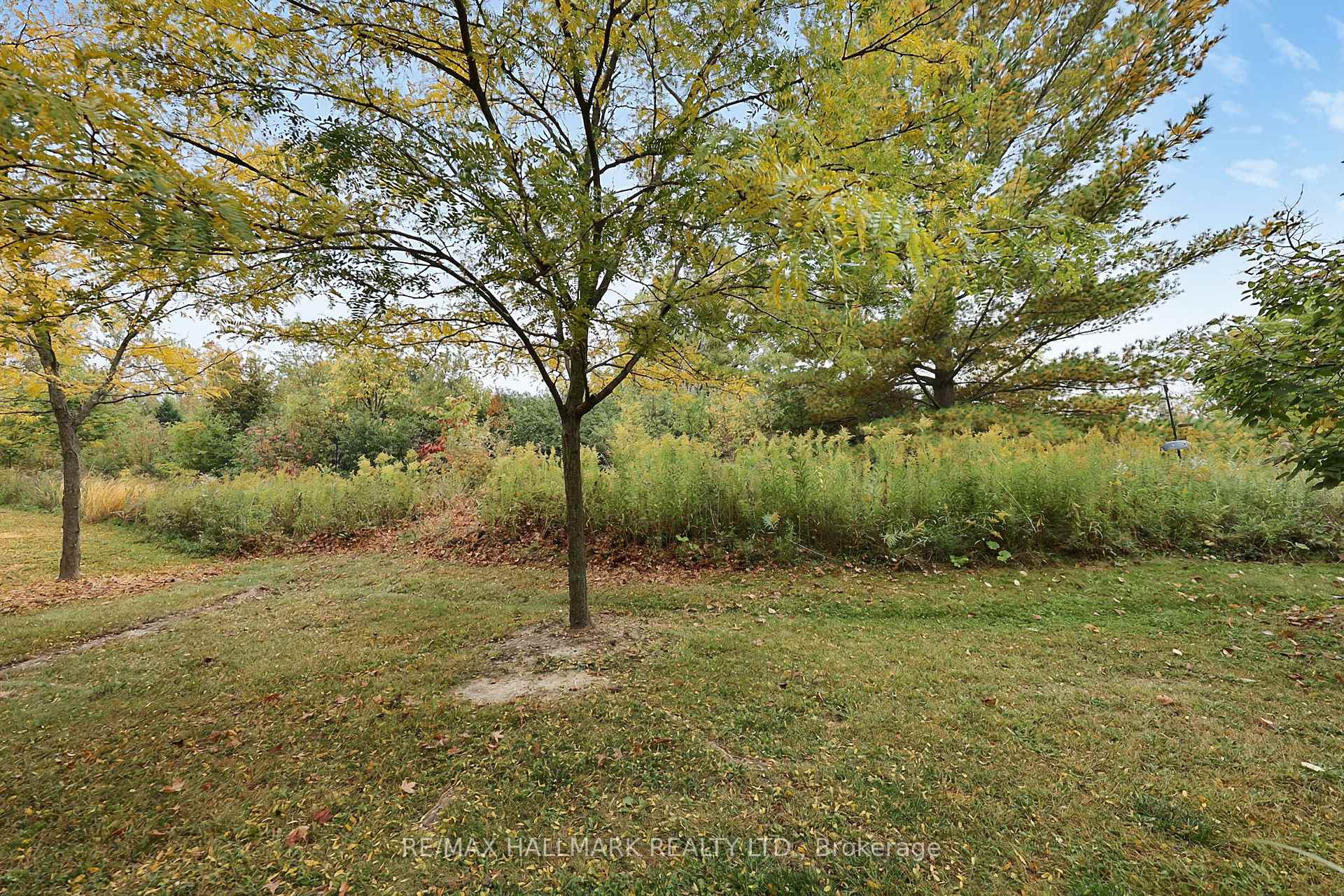 Photo 29 of 710 Wendy Culbert Crescent, Newmarket, Stonehaven-Wyndham — HOMEH