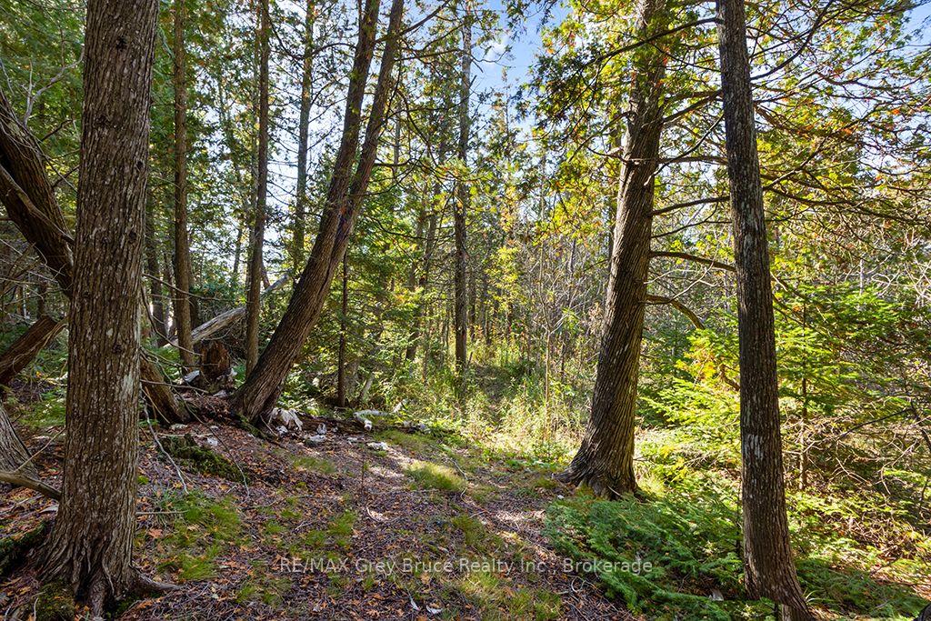 Photo 10 of Block E Plan 571 Howard Bowman Drive, Northern Bruce Peninsula — HOMEH