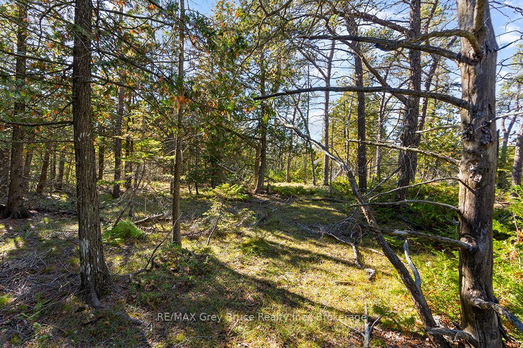 Photo 11 of Block E Plan 571 Howard Bowman Drive, Northern Bruce Peninsula — HOMEH
