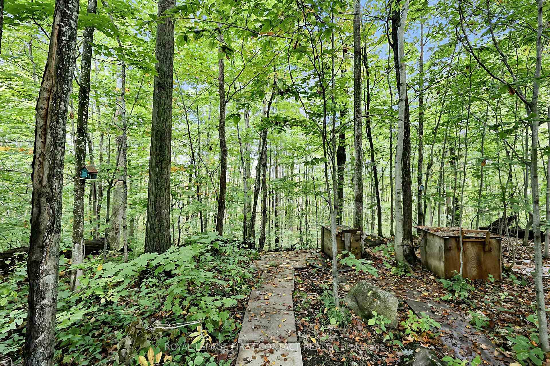 Photo 4 of 2442 Champlain Road, Tiny, Rural Tiny — HOMEH