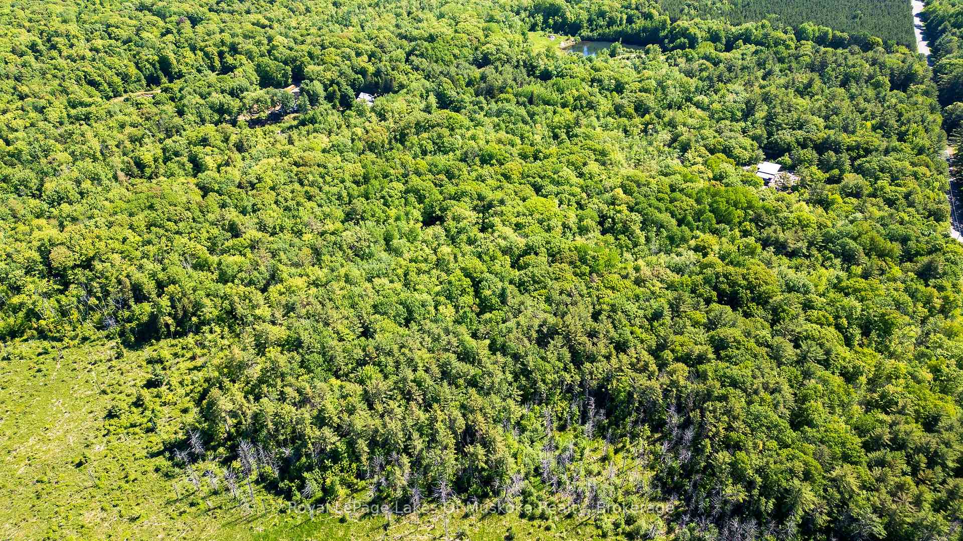 Photo 13 of Southwood Road, Gravenhurst, Morrison — HOMEH