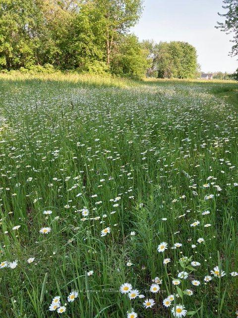 Photo 41 of 533 Allore Road, Tweed, Hungerford (Twp) — HOMEH