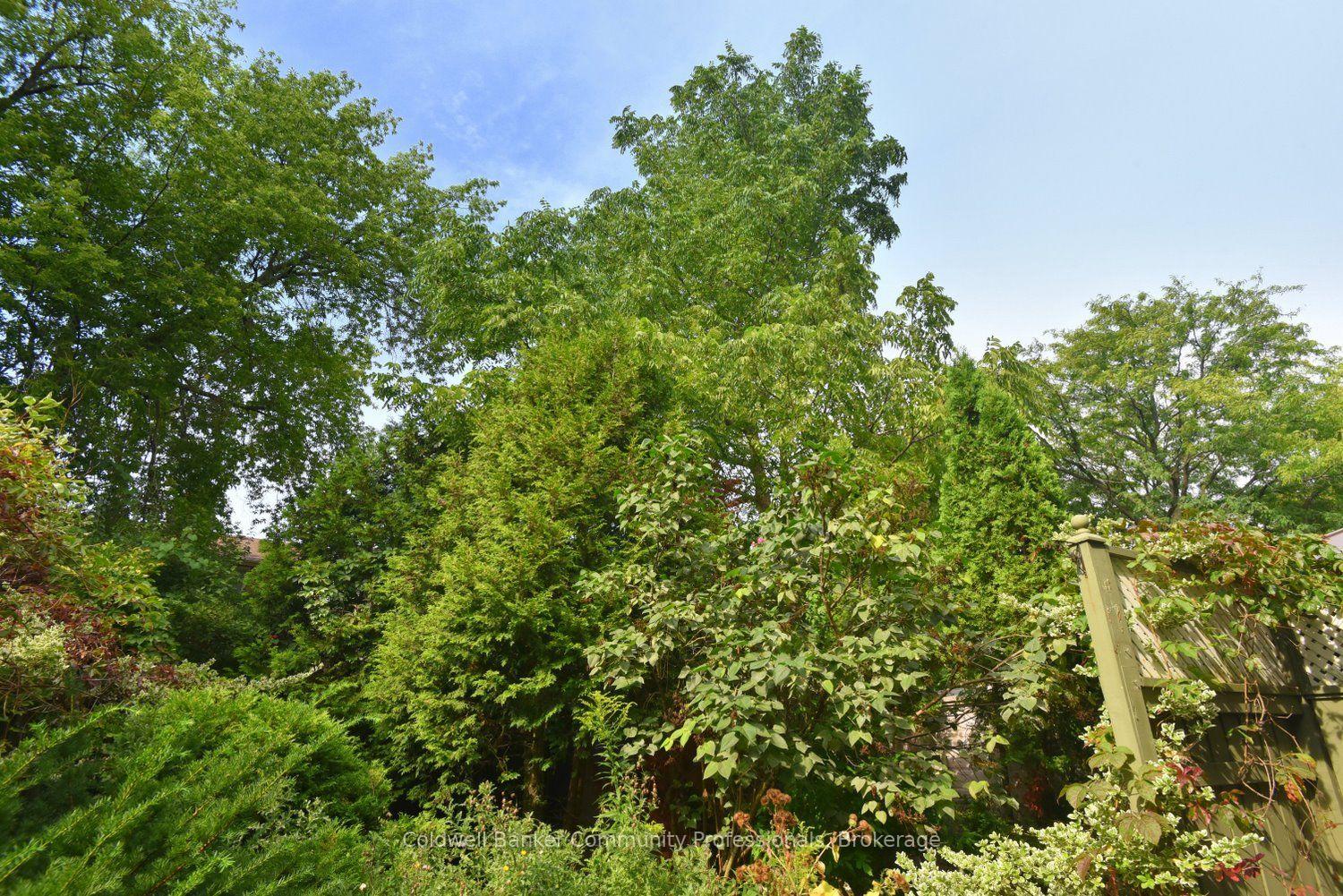 Photo 37 of 81 Aylmer Crescent, Hamilton, Stoney Creek Mountain — HOMEH