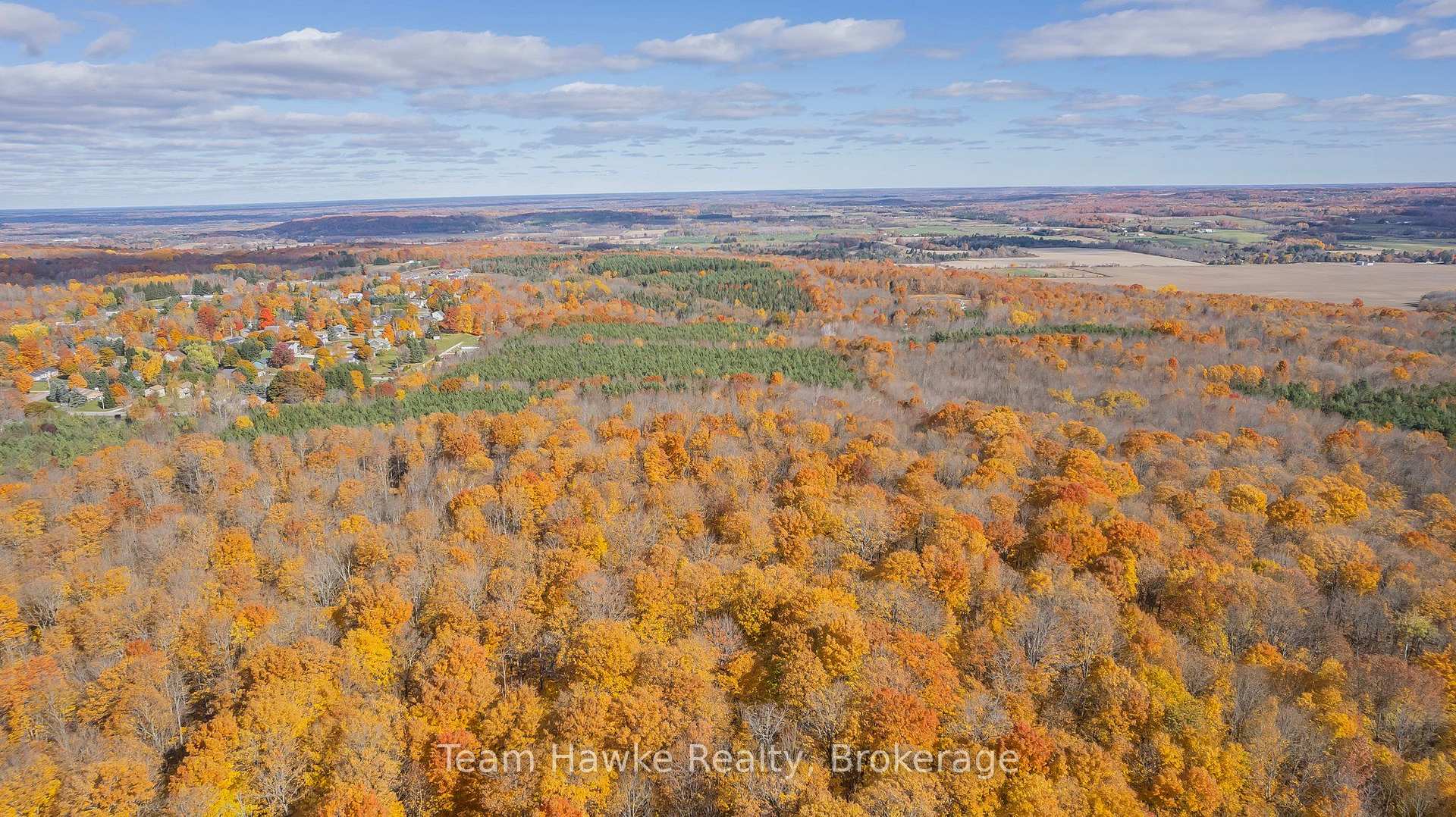 Photo 48 of 29 Boyd Crescent, Oro-Medonte, Moonstone — HOMEH