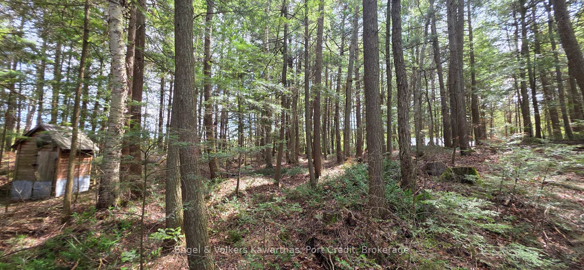 Photo 39 of 1014 Fire Route 74, North Kawartha — HOMEH