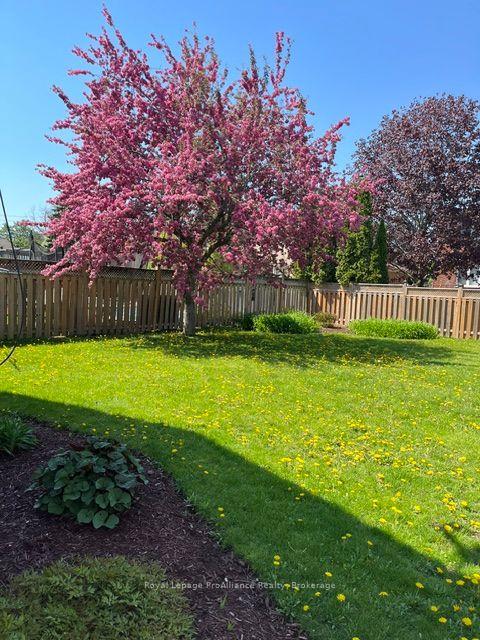 Photo 41 of 21 Forrester Court, Belleville, Belleville Ward — HOMEH
