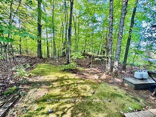Photo 4 of Unit 107, 1007 Racoon Road, Gravenhurst, Morrison — HOMEH