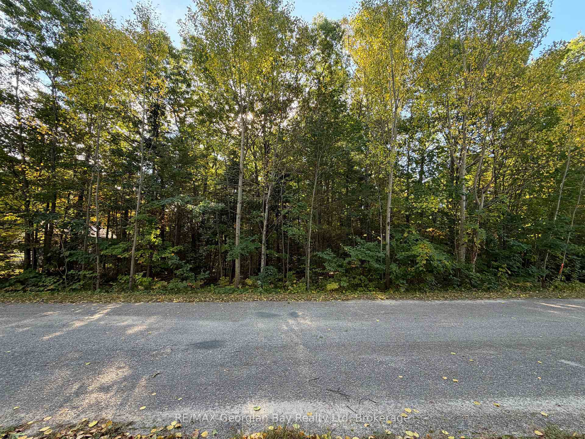 Photo 3 of 69 Pinecone Avenue, Tiny, Rural Tiny — HOMEH