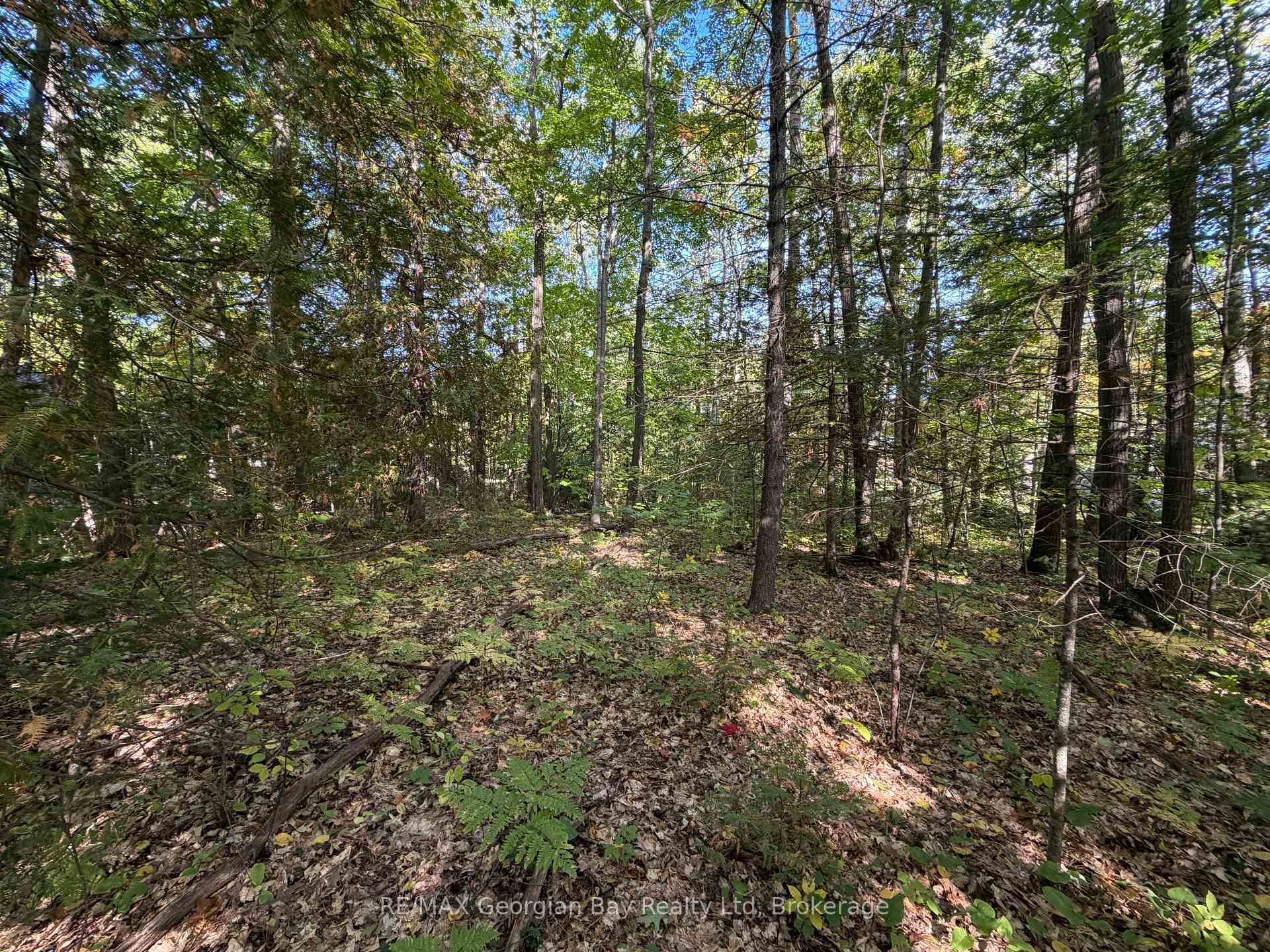 Photo 4 of 69 Pinecone Avenue, Tiny, Rural Tiny — HOMEH