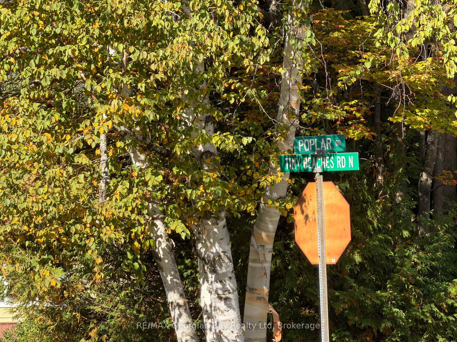 Photo 13 of 69 Pinecone Avenue, Tiny, Rural Tiny — HOMEH