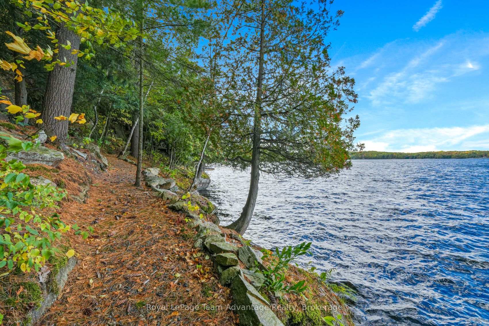 Photo 4 of 6 & 8 Mill Heights Road, McDougall — HOMEH