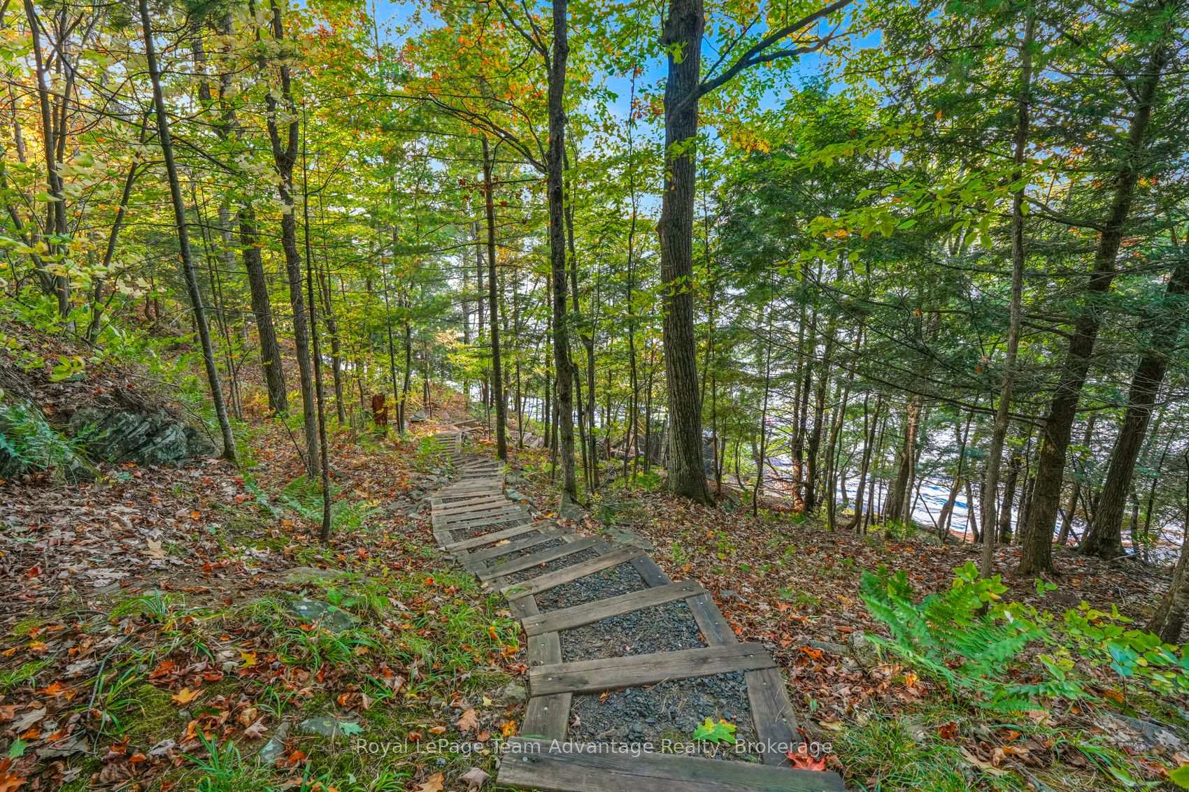 Photo 40 of 6 & 8 Mill Heights Road, McDougall — HOMEH