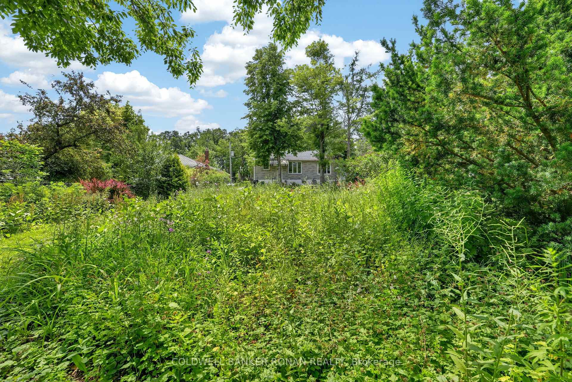 Photo 47 of 9 Vine Street, Barrie, Sunnidale — HOMEH