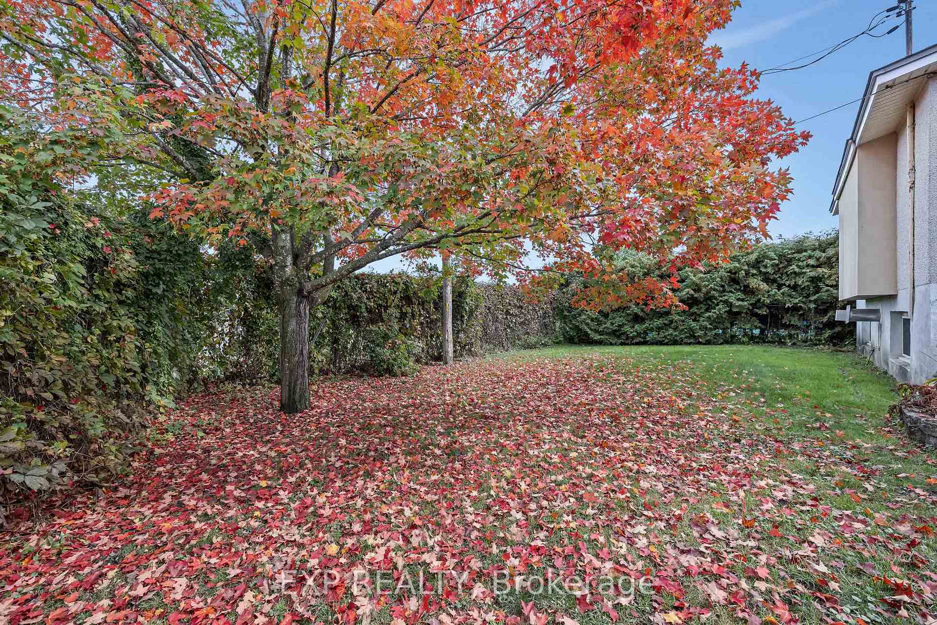 Photo 31 of 2161 Valley Drive, Ottawa, Elmvale Acres/Urbandale — HOMEH